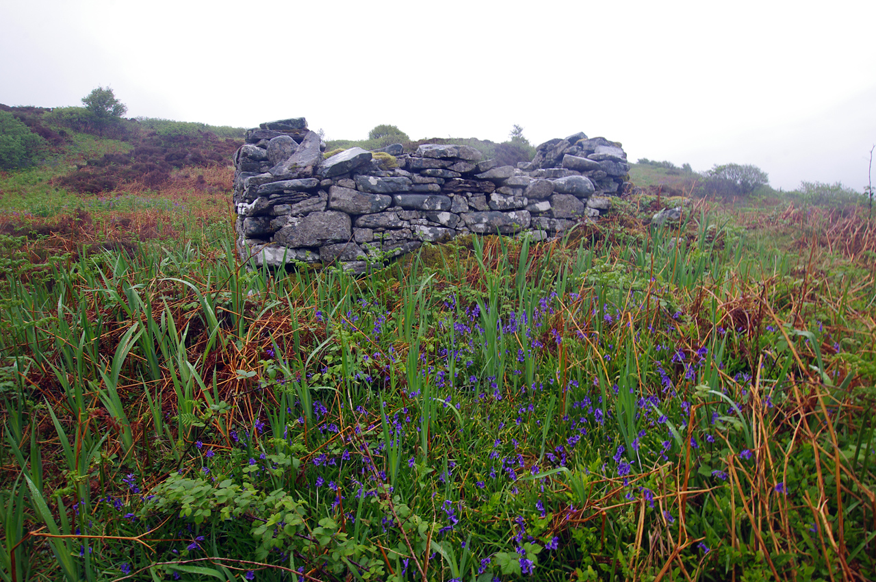 Dun Ringill — image 3