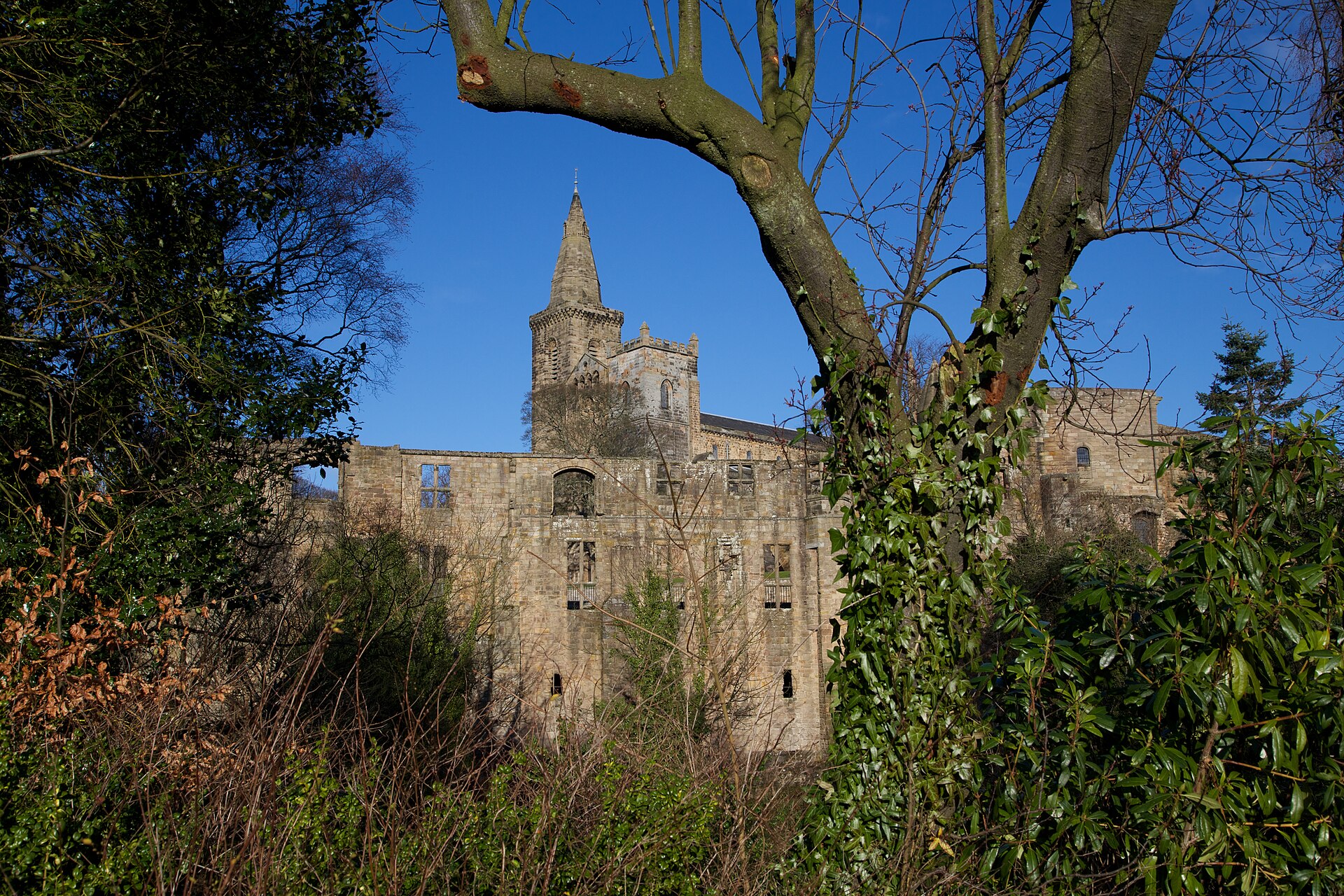 Dunfermline Abbey — image 2