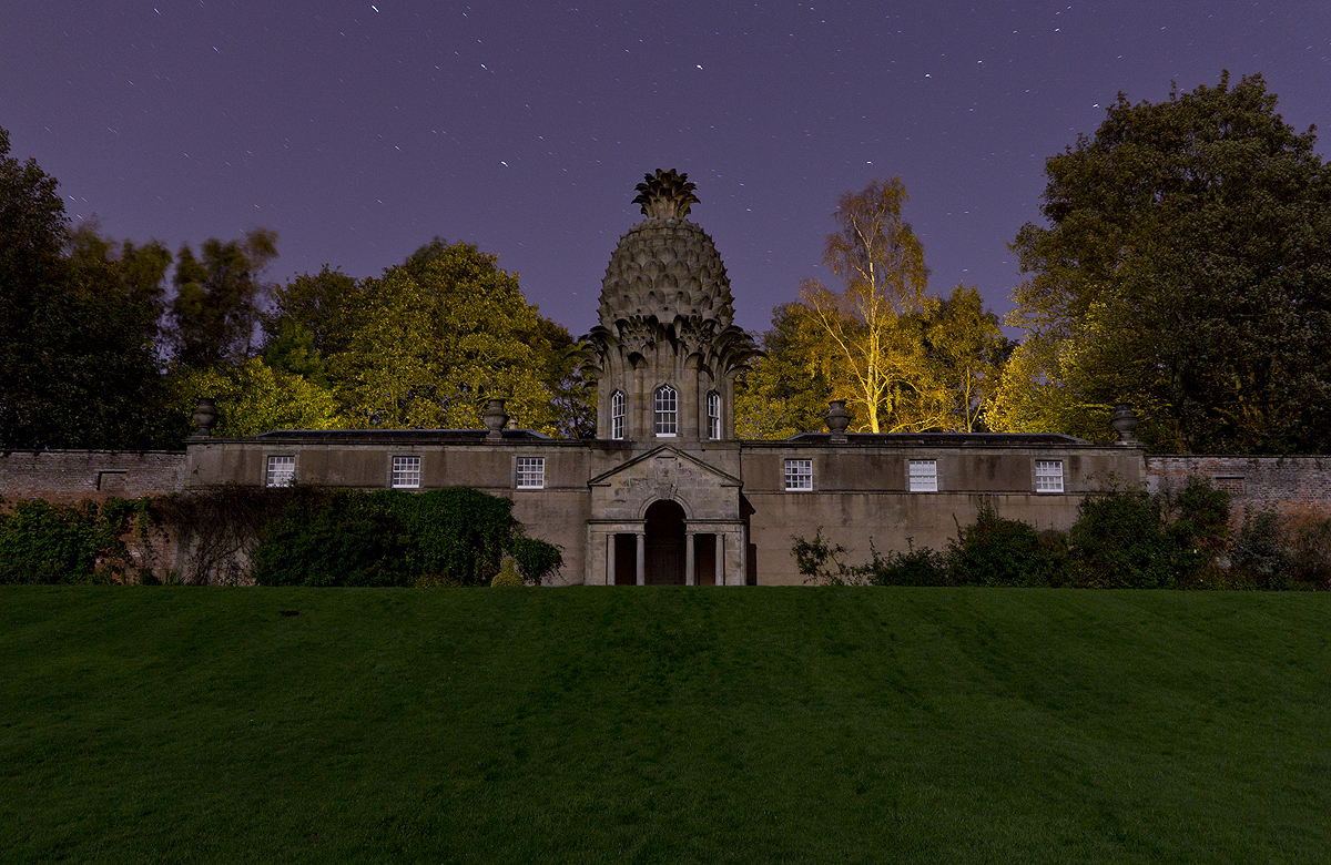 Dunmore Pineapple — image 2