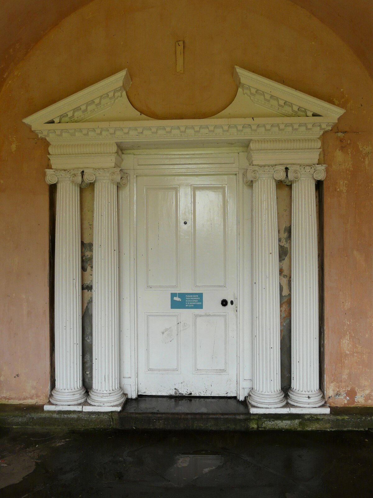 Dunmore Pineapple — image 3