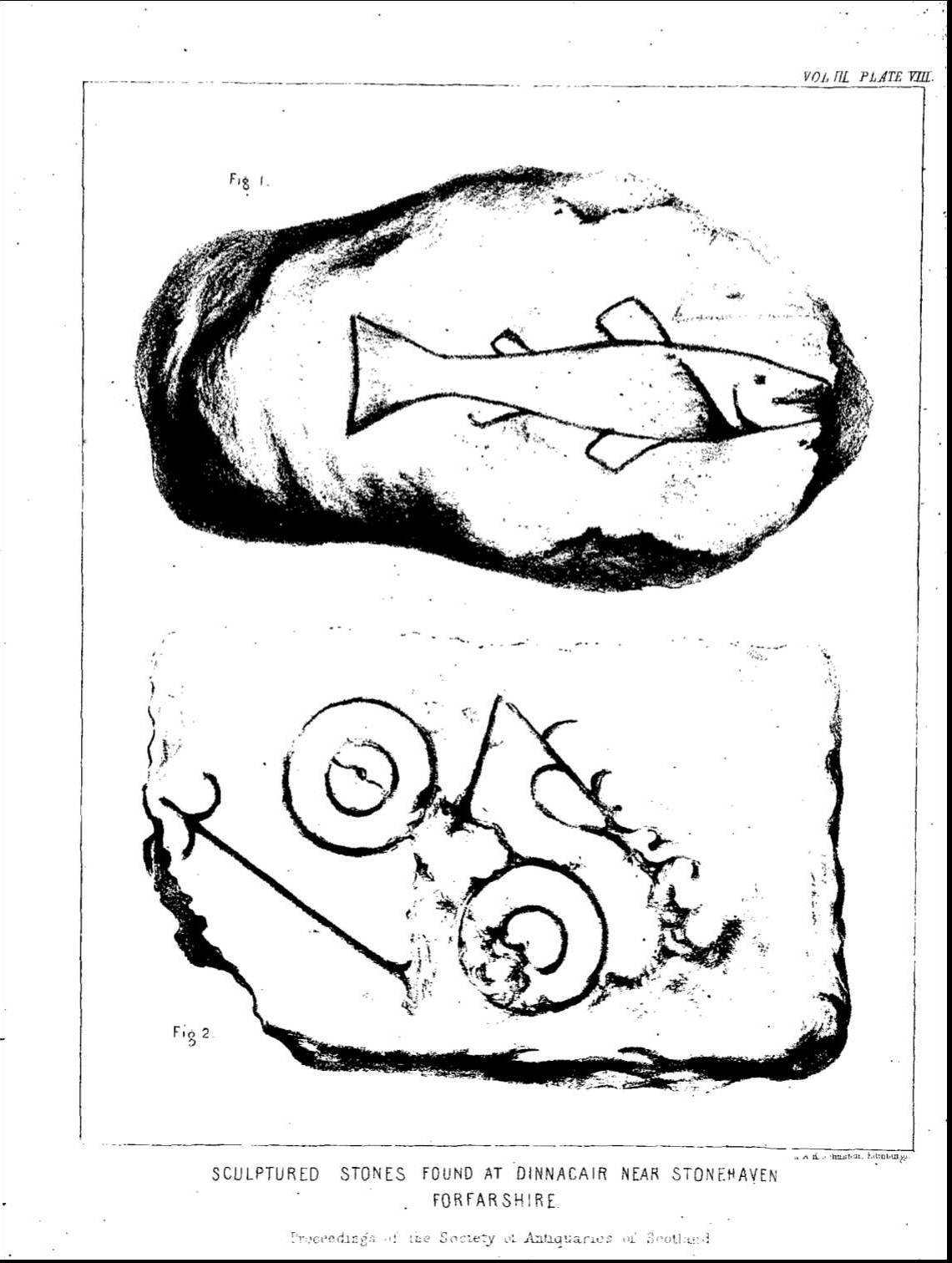 Dunnicaer — image 2