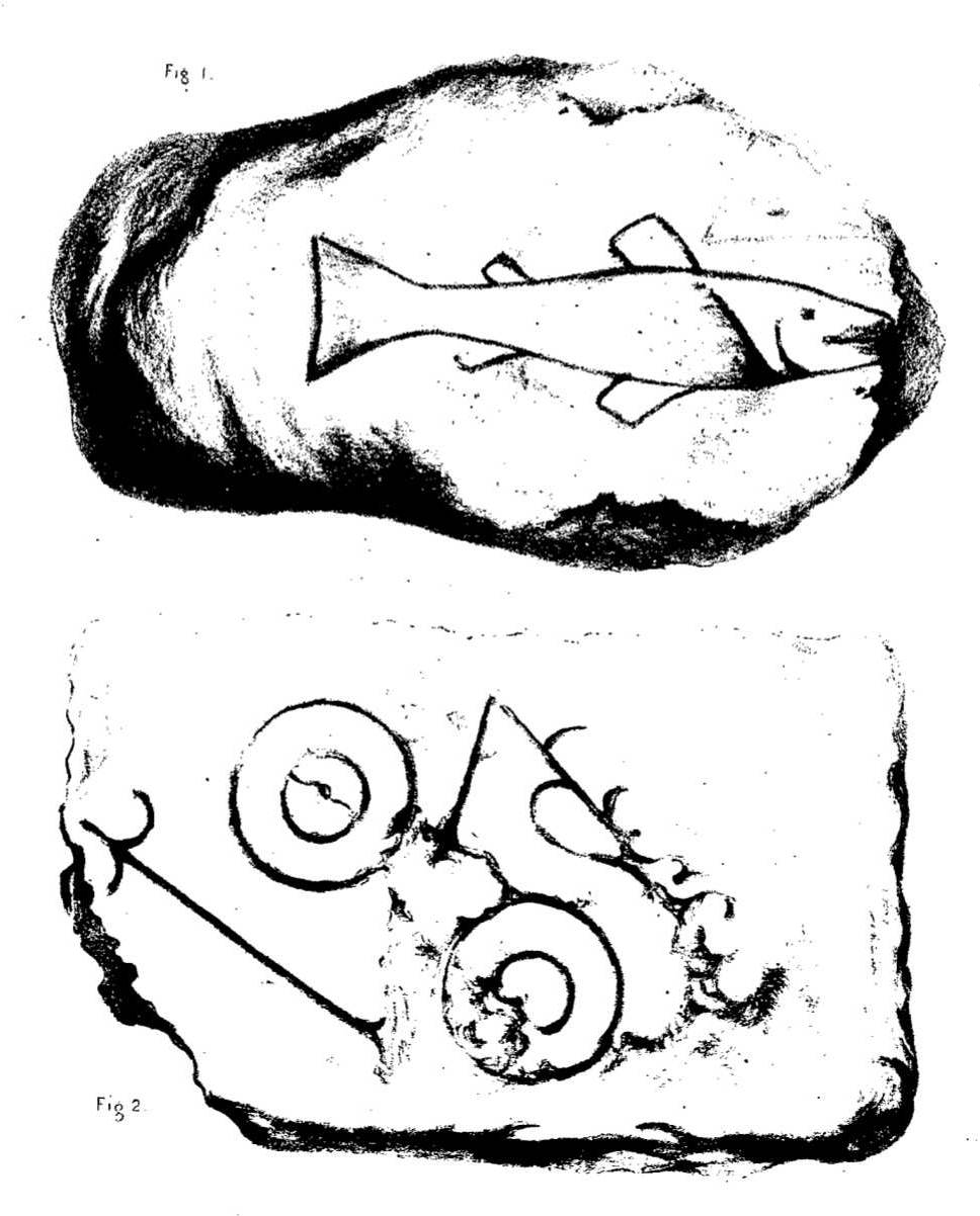 Dunnicaer — image 3