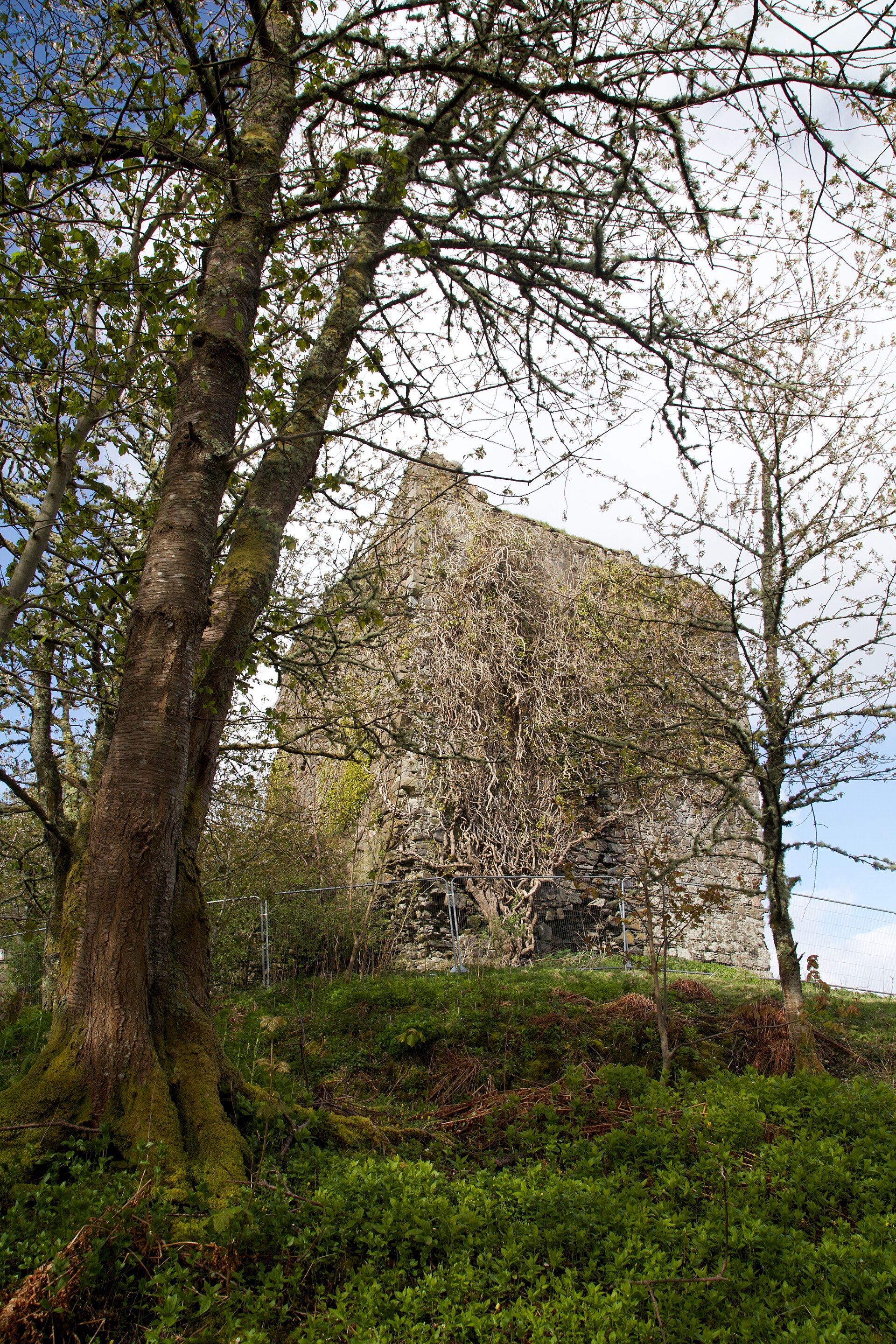 Dunollie Castle — image 3
