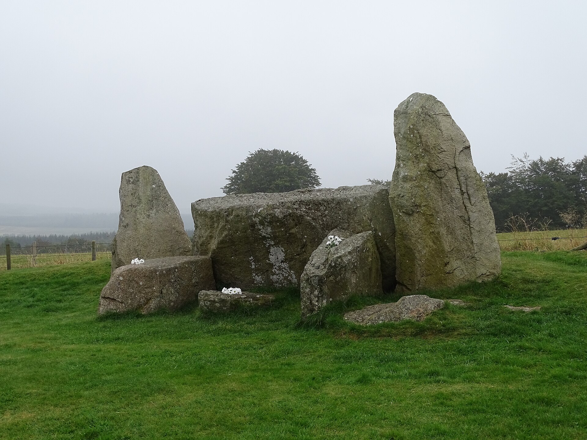 Easter Aquhorthies stone circle — image 3