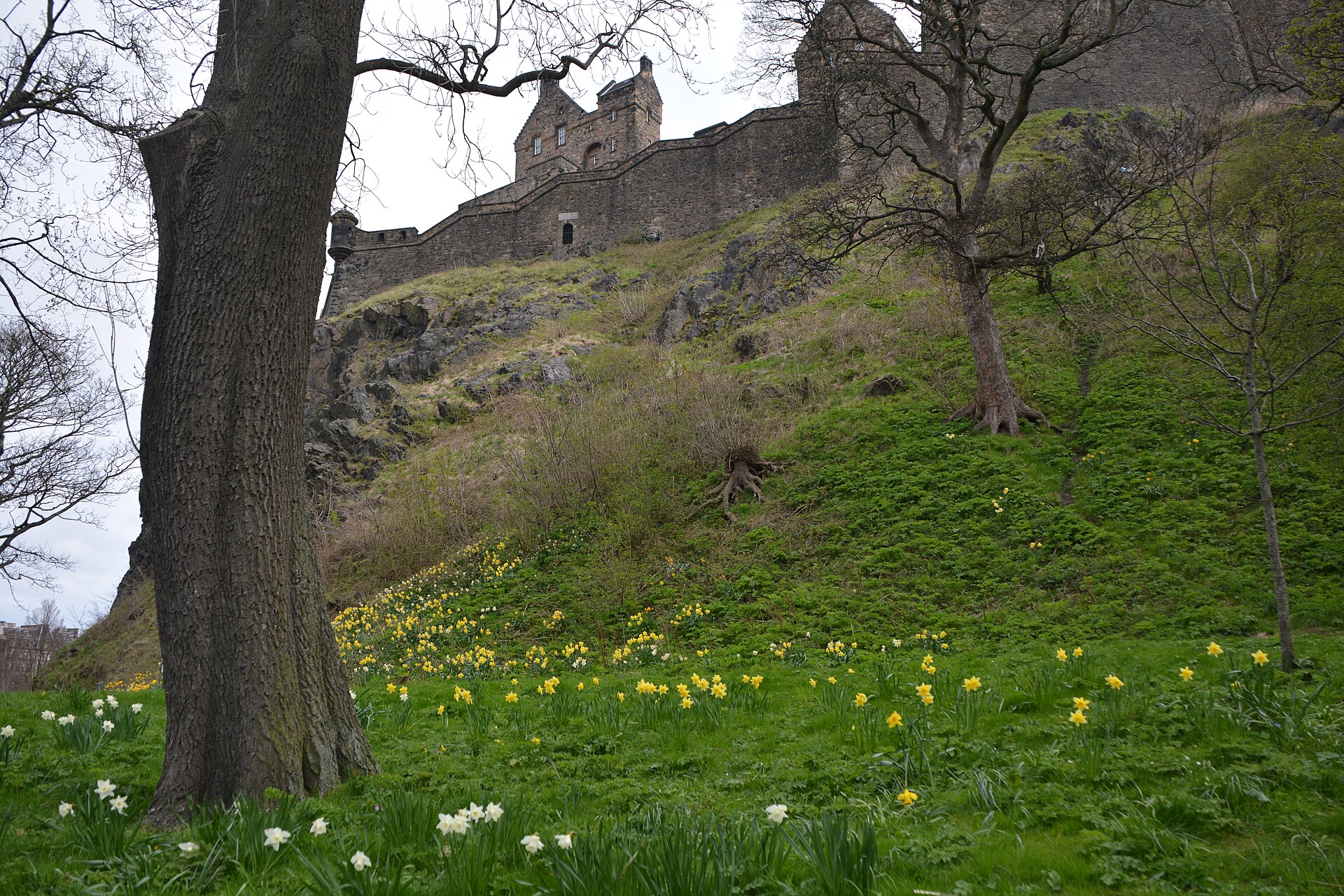 Edinburgh Castle — image 6