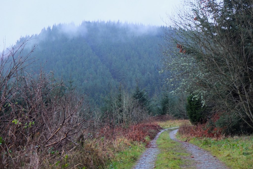 Elibank Castle — image 4