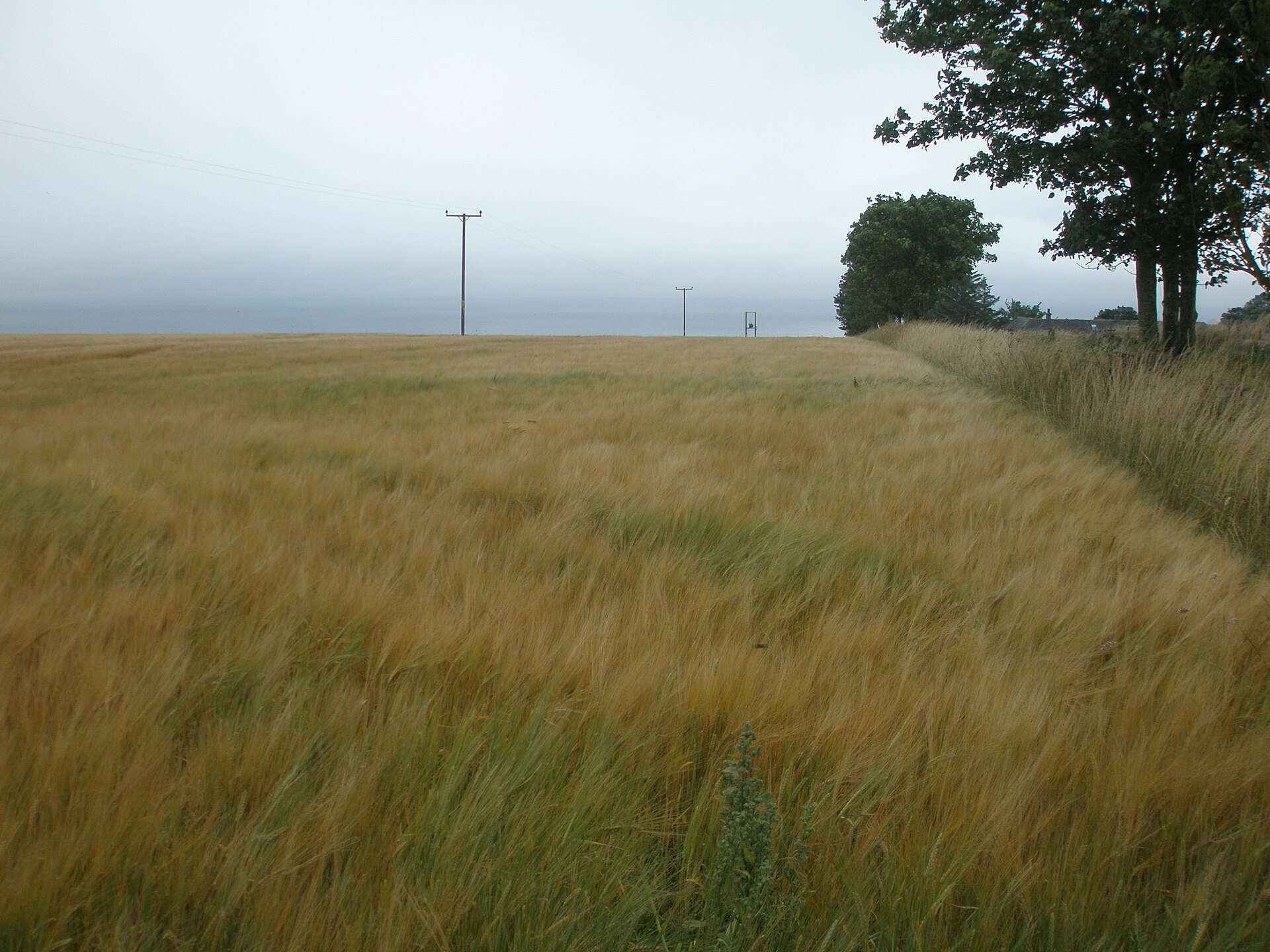 Ethie Castle — image 3