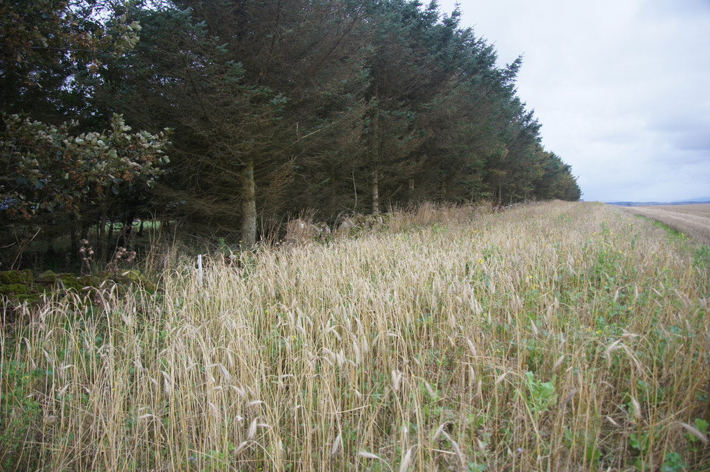 Ethie Castle — image 4