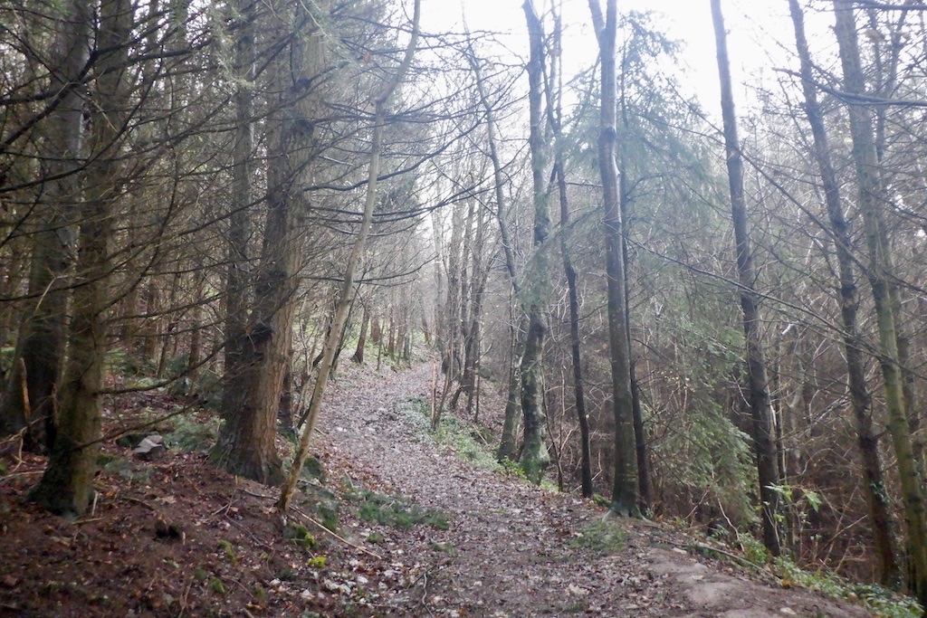 Fatlips Castle — image 2