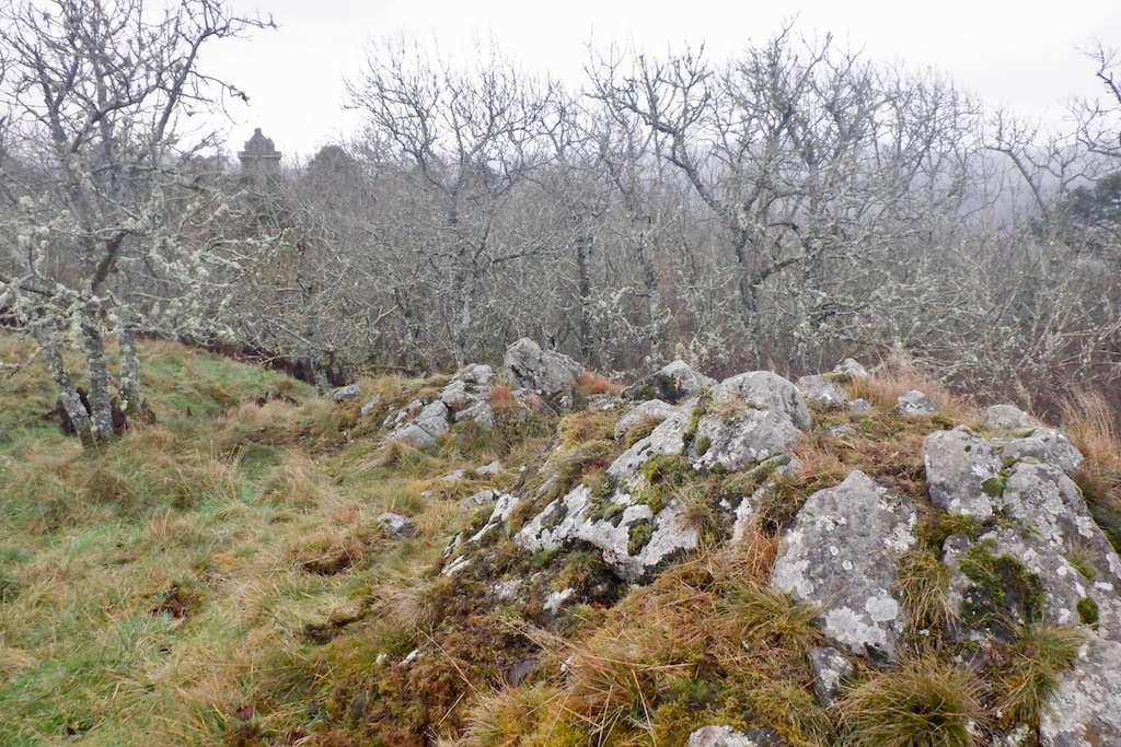 Fatlips Castle — image 3