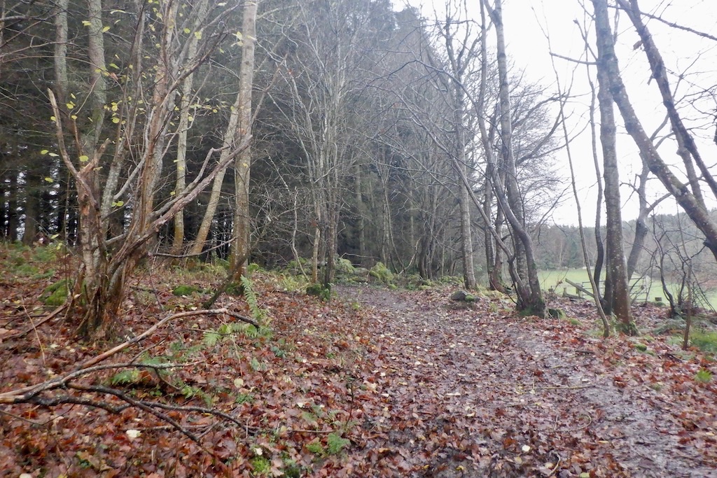 Fatlips Castle — image 4