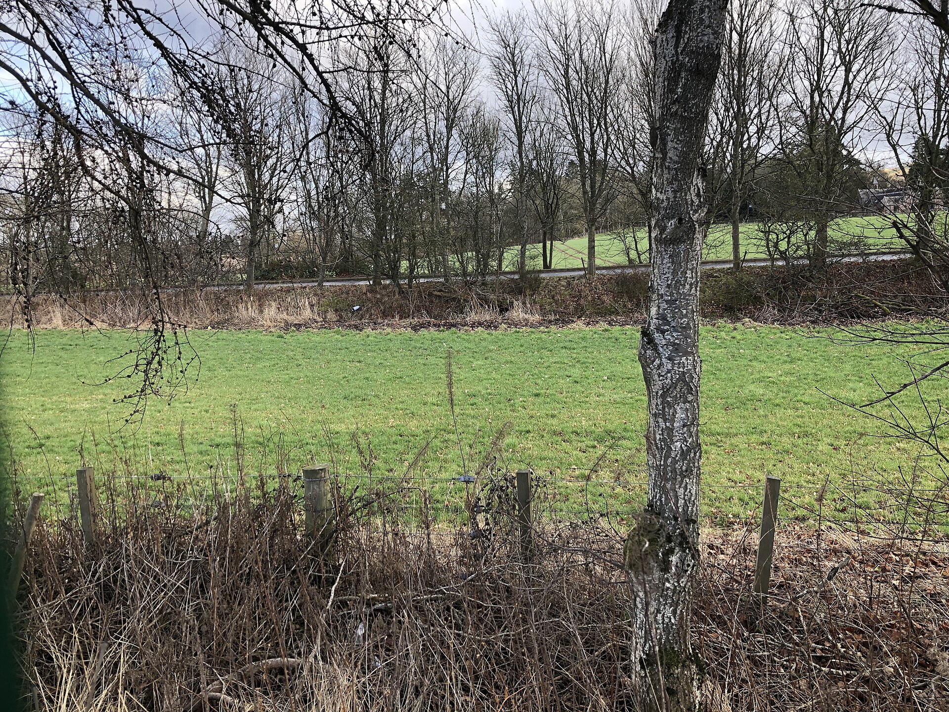 Finavon Castle — image 2