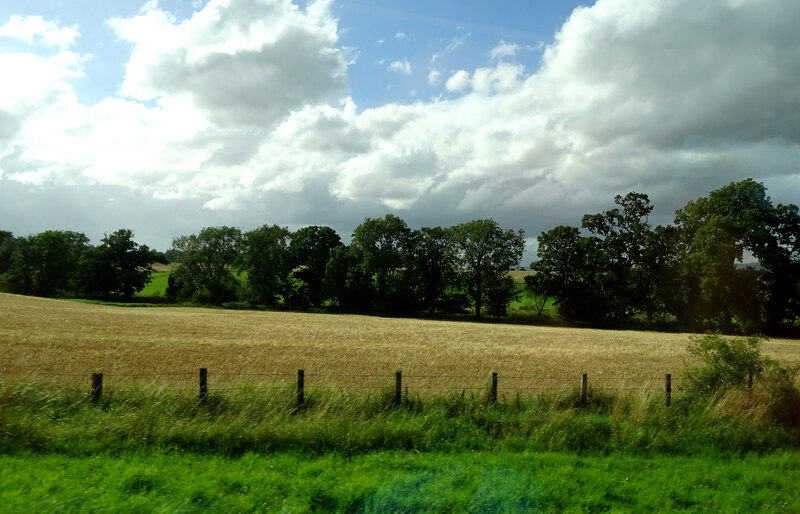 Finavon Castle — image 4