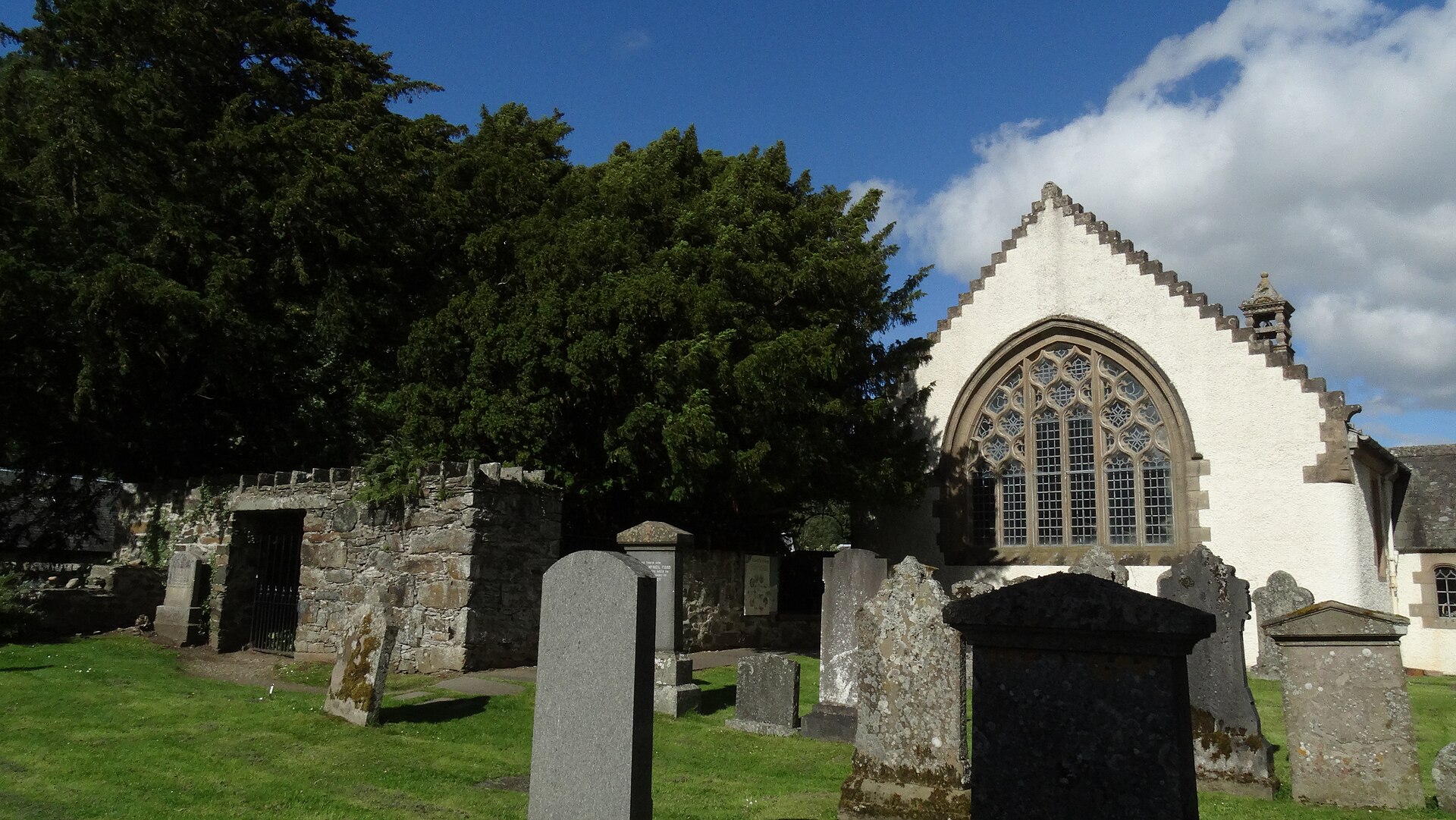 Fortingall Yew — image 6