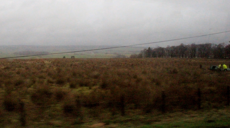Glenbank — image 2