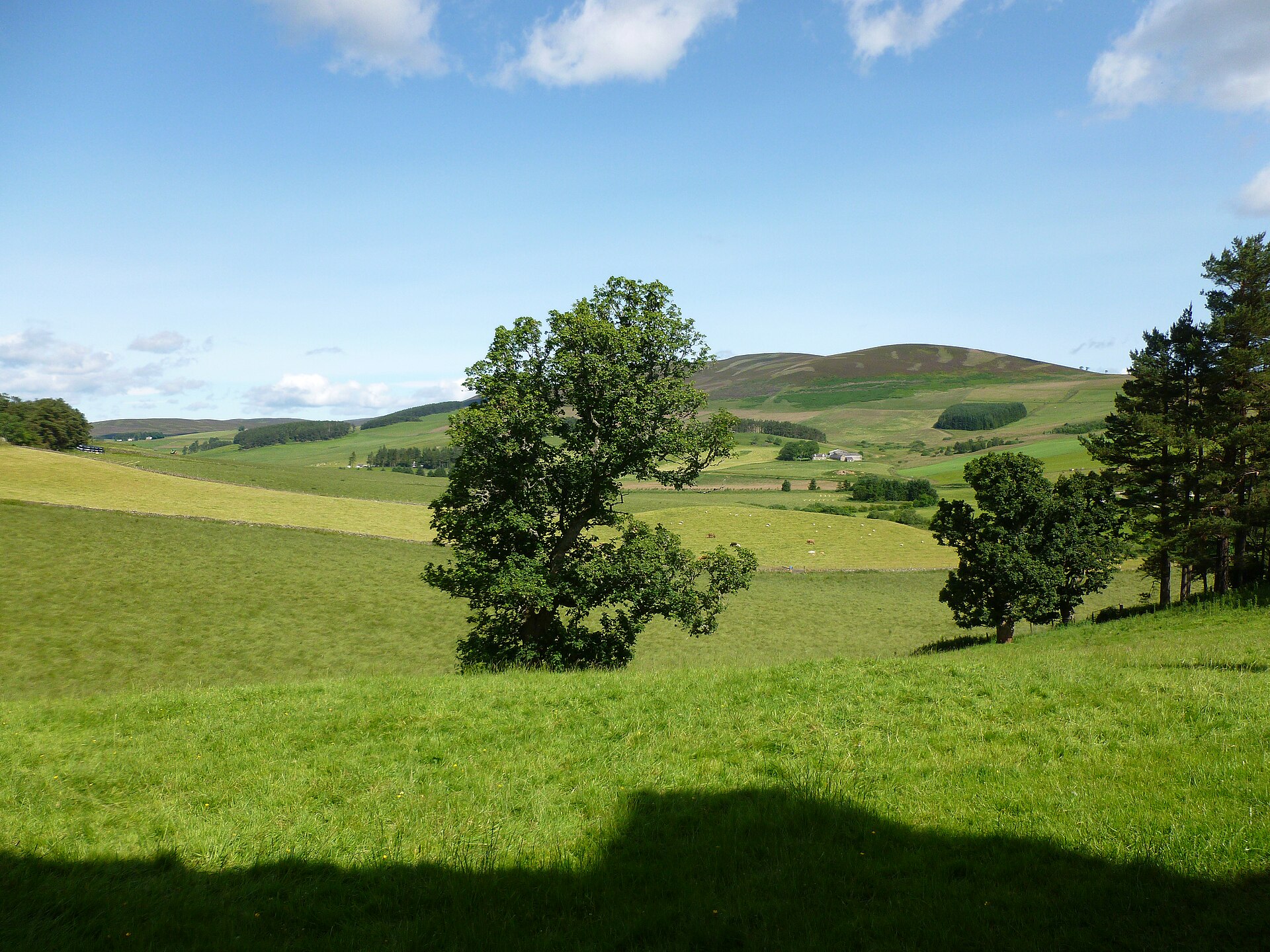 Glenbuchat Castle — image 4