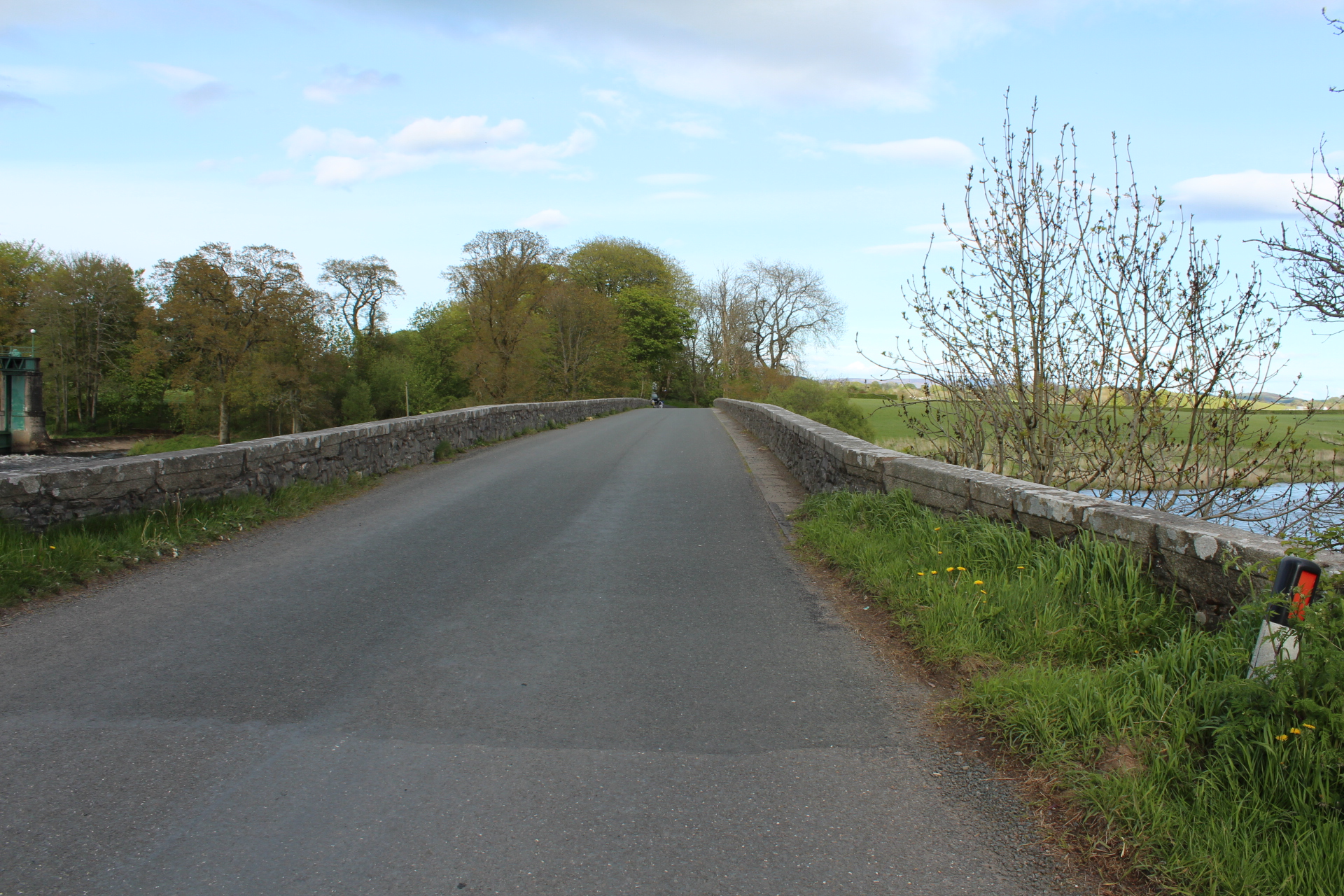Glenlochar Roman Fort, Camps and Road — image 3