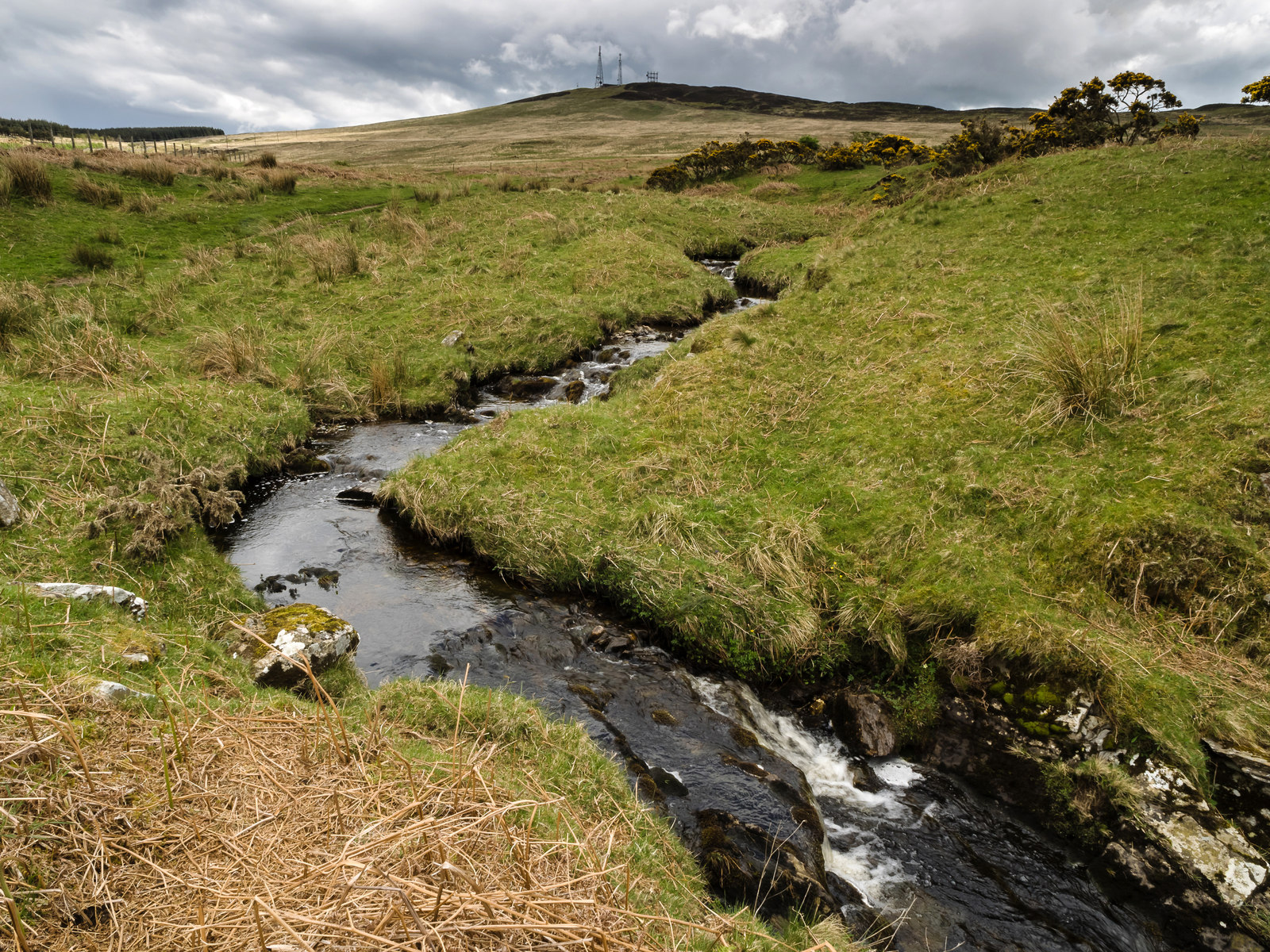 Near Glenquicken stone circle, about 120 metres away.