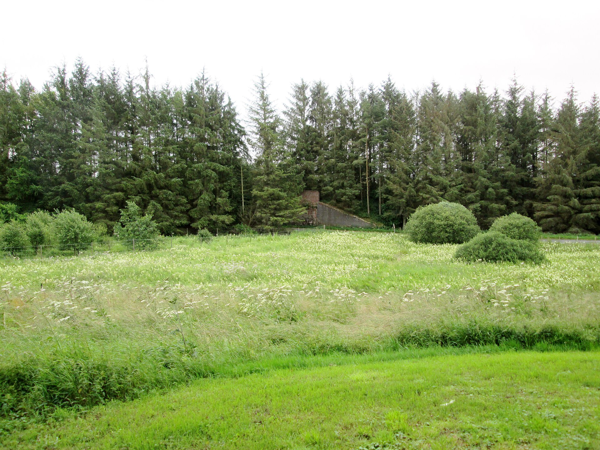 Greenknowe Tower — image 4