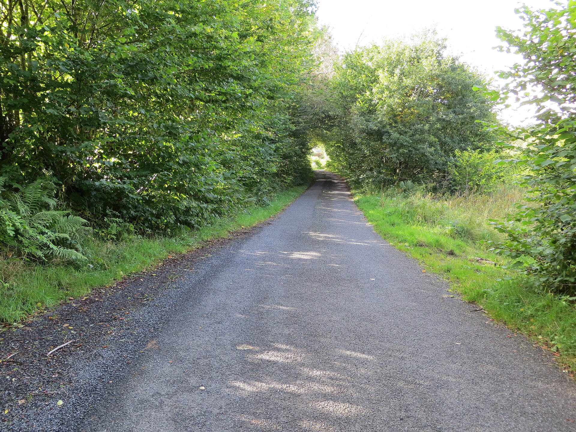 Grennan Hill — image 2