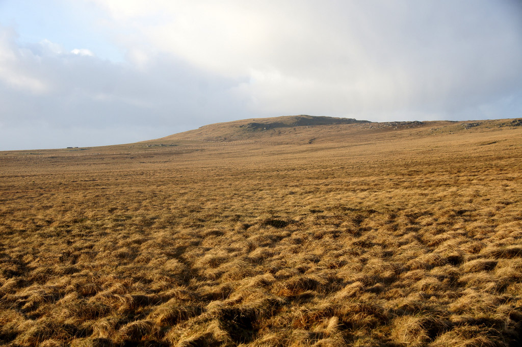 Haltadans — image 2