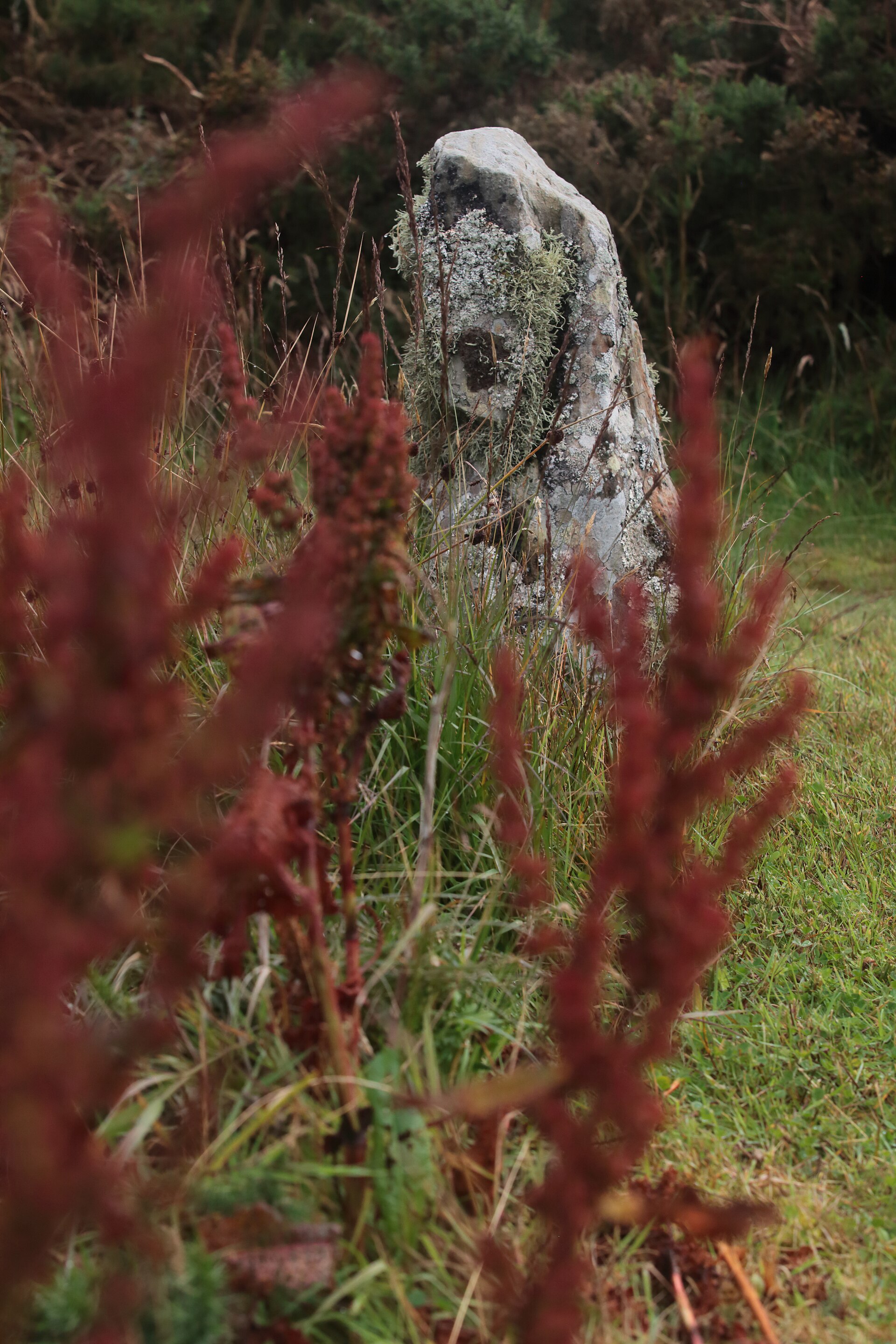 Hill o' Many Stanes — image 2