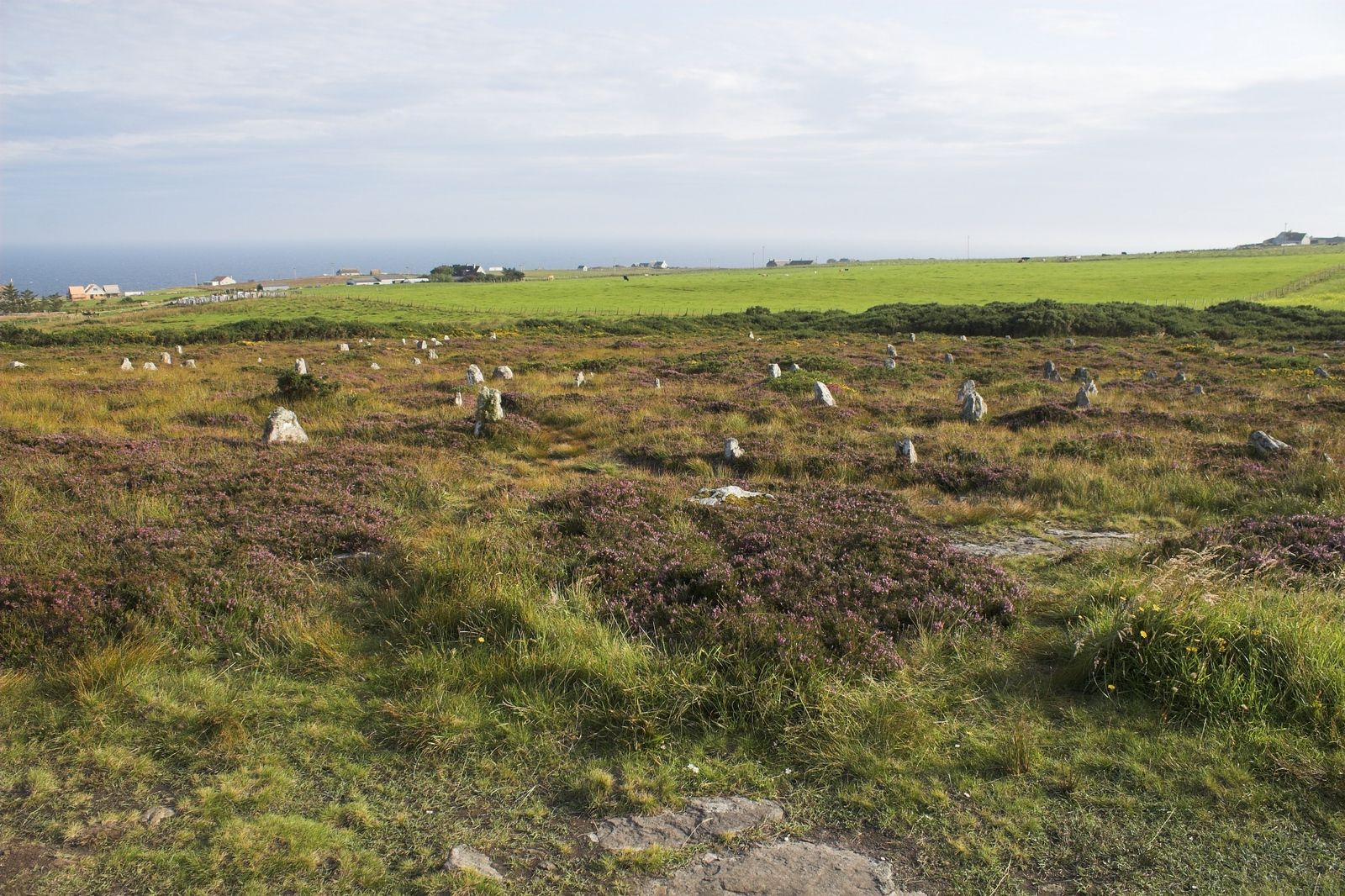 Hill o' Many Stanes — historical view