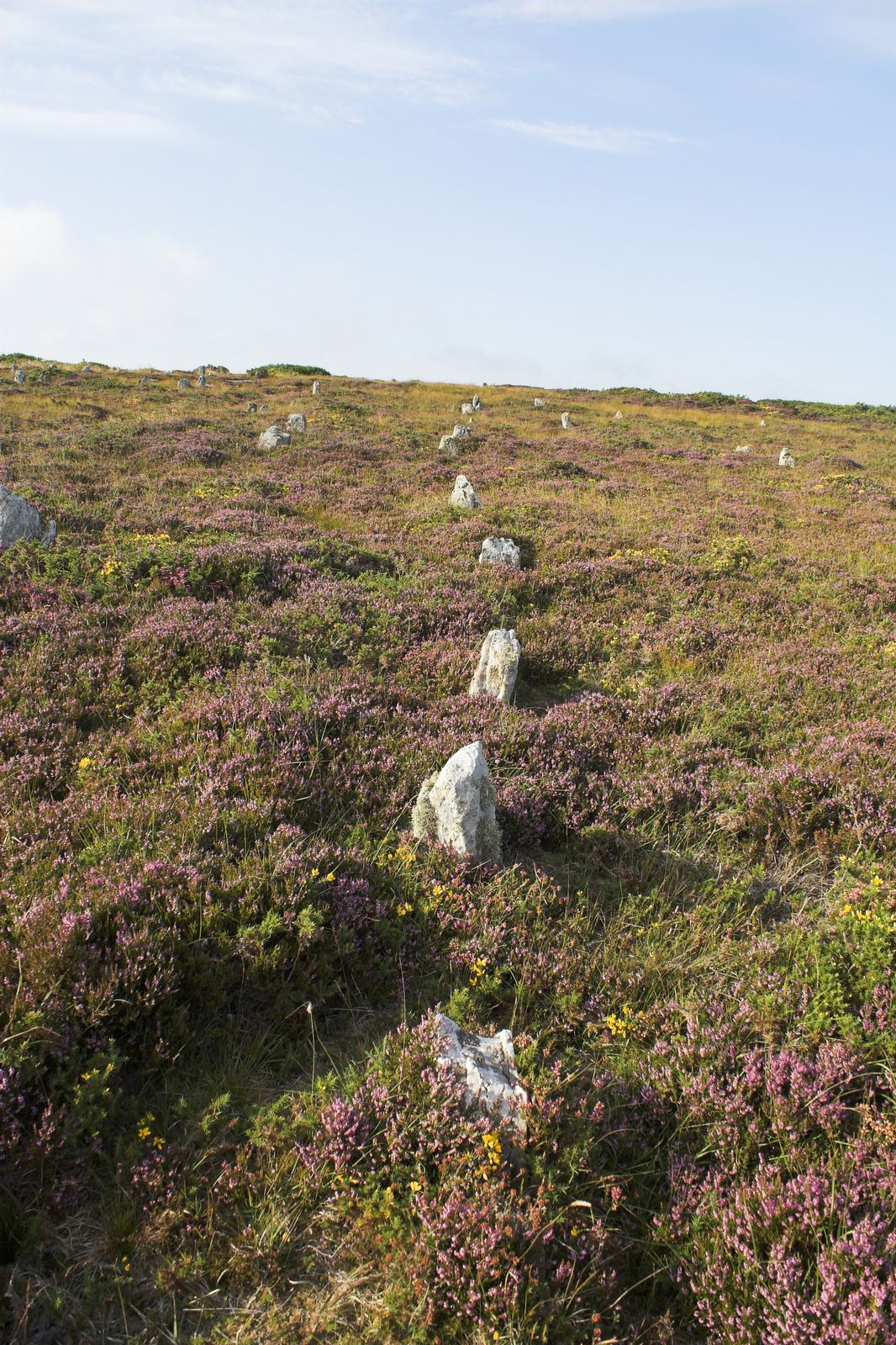 Hill o' Many Stanes — image 3