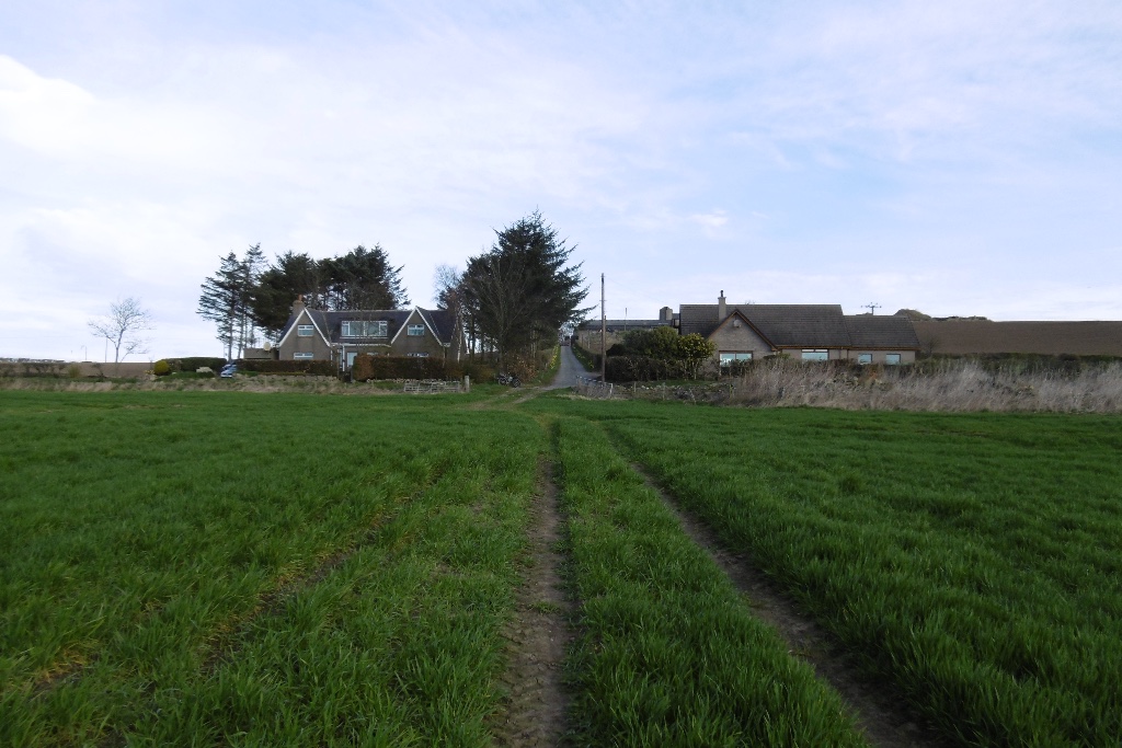 Hill of Fiddes stone circle — image 2