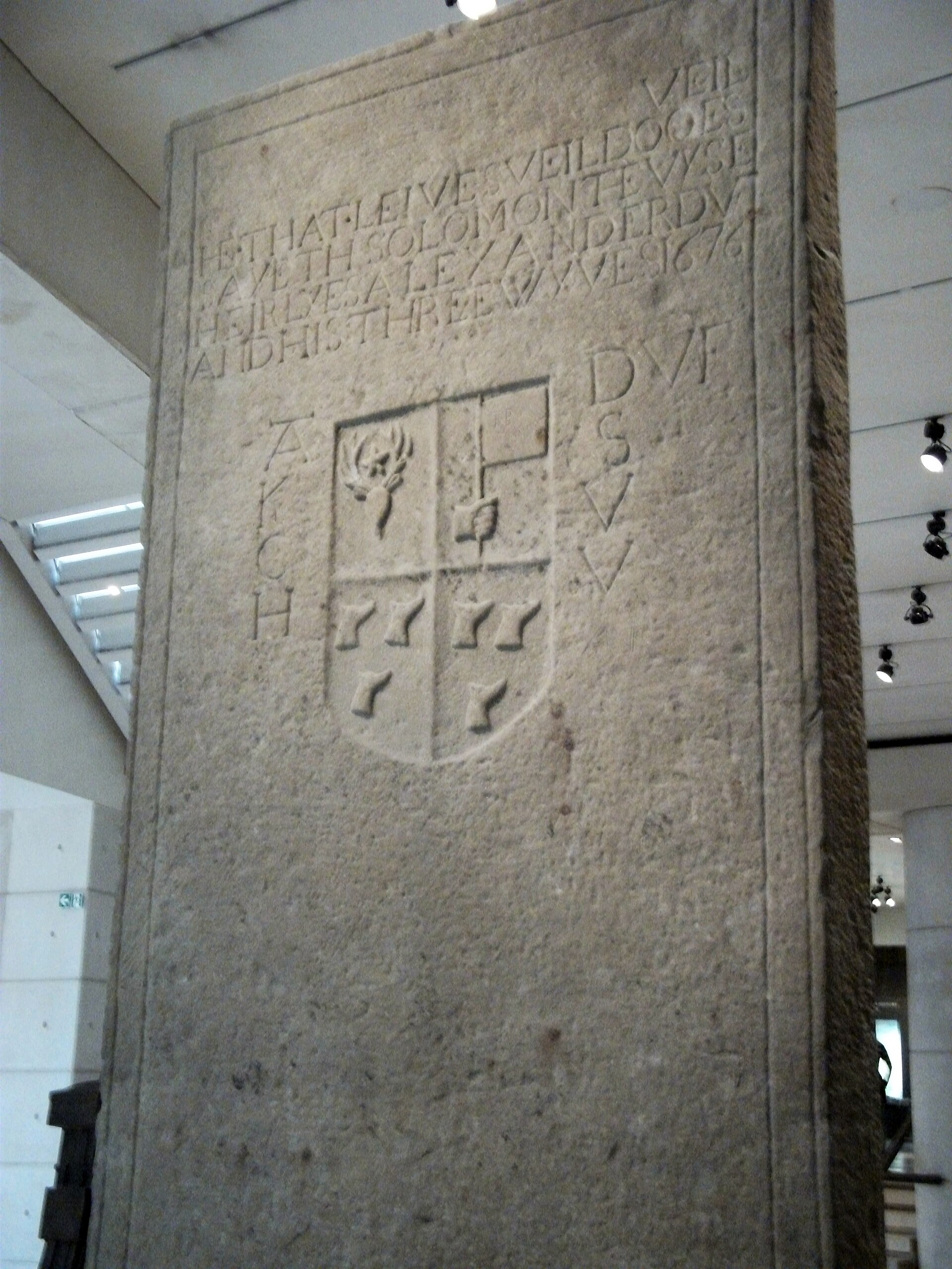 Hilton of Cadboll Stone — image 2