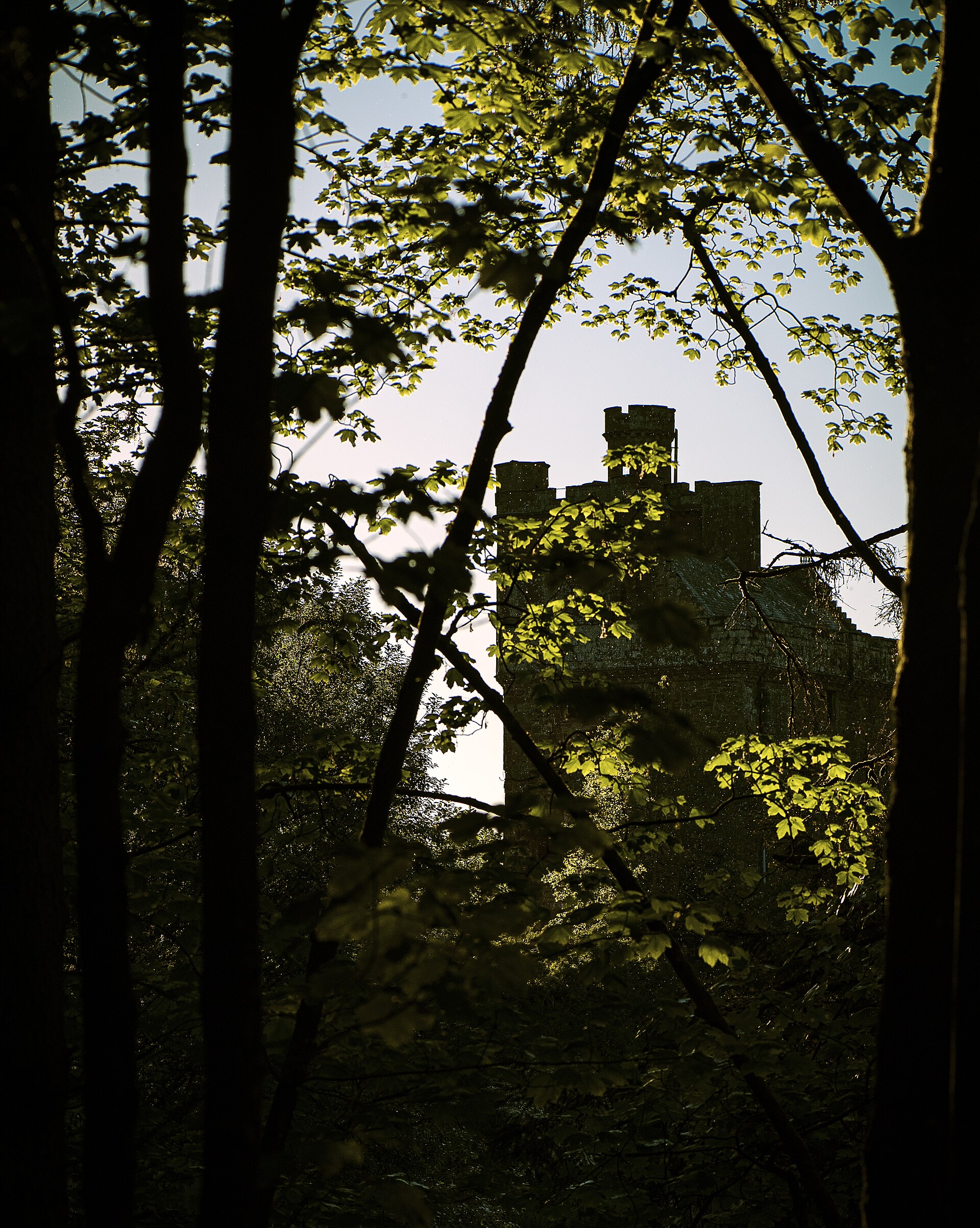 Hoddom Castle — image 4
