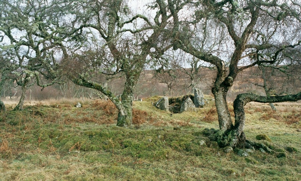 Inshlampie Broch — image 2