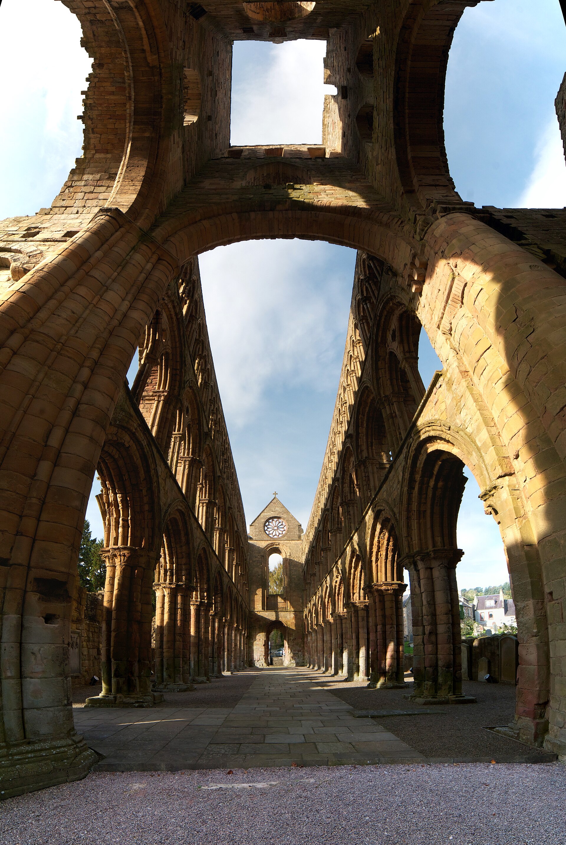 Jedburgh Abbey — image 3
