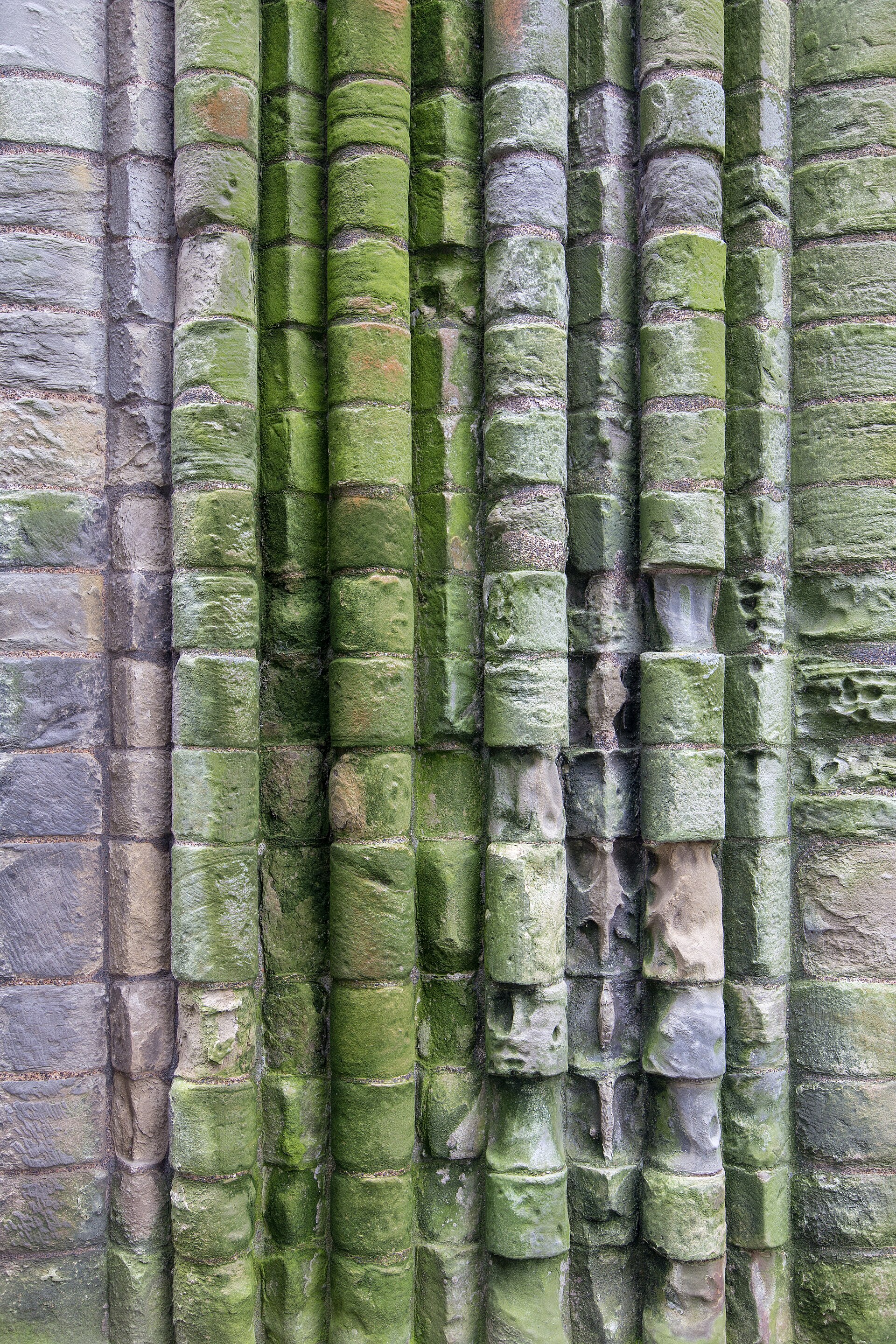 Kelso Abbey — image 5