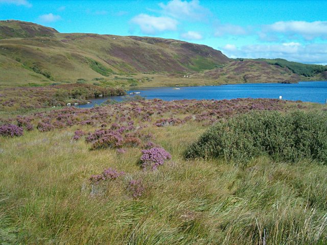 Knapdale