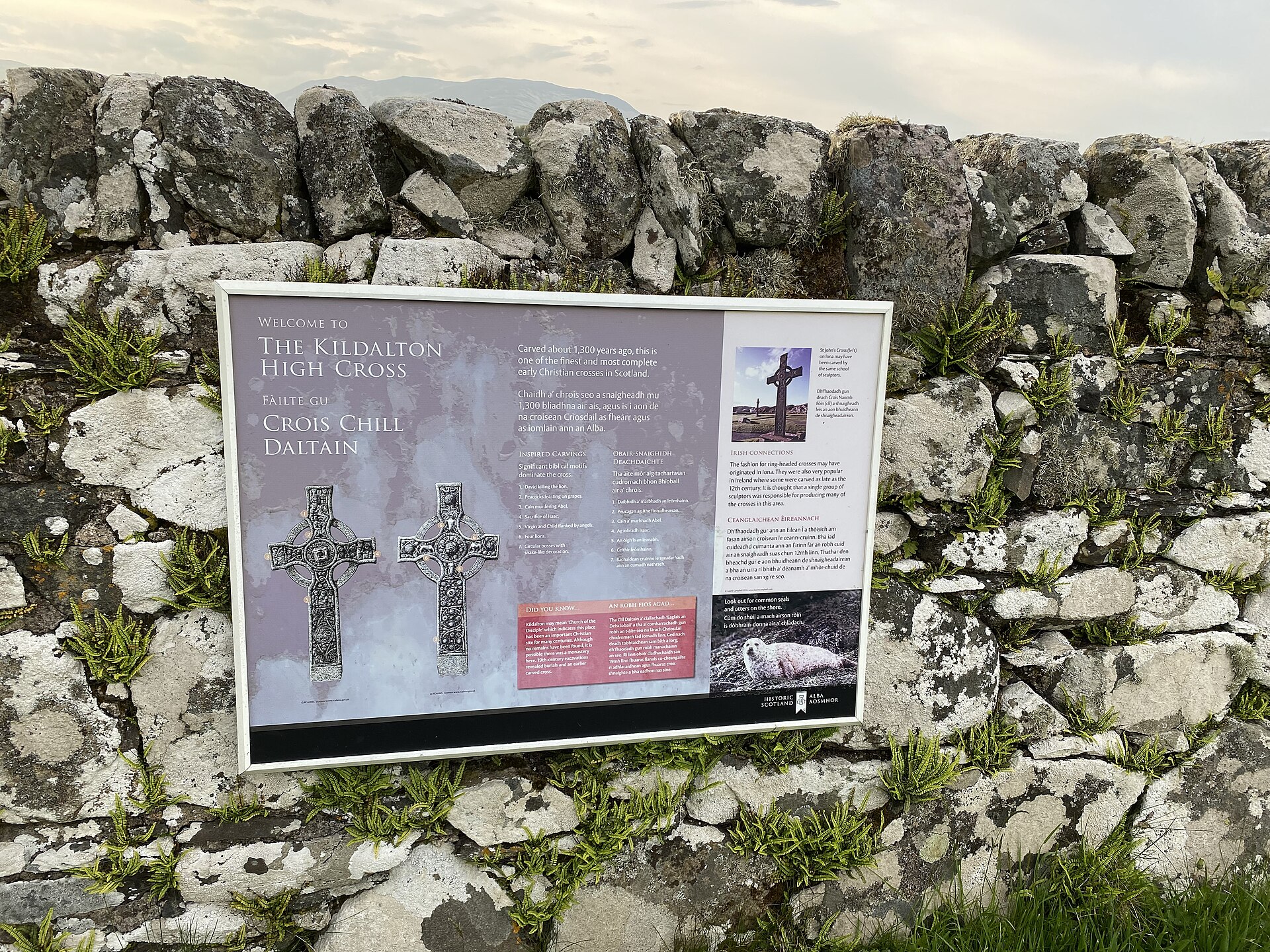 Kildalton Cross and Chapel — image 4