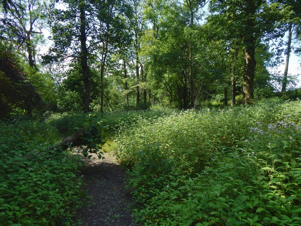 Kilmahew Castle — image 3