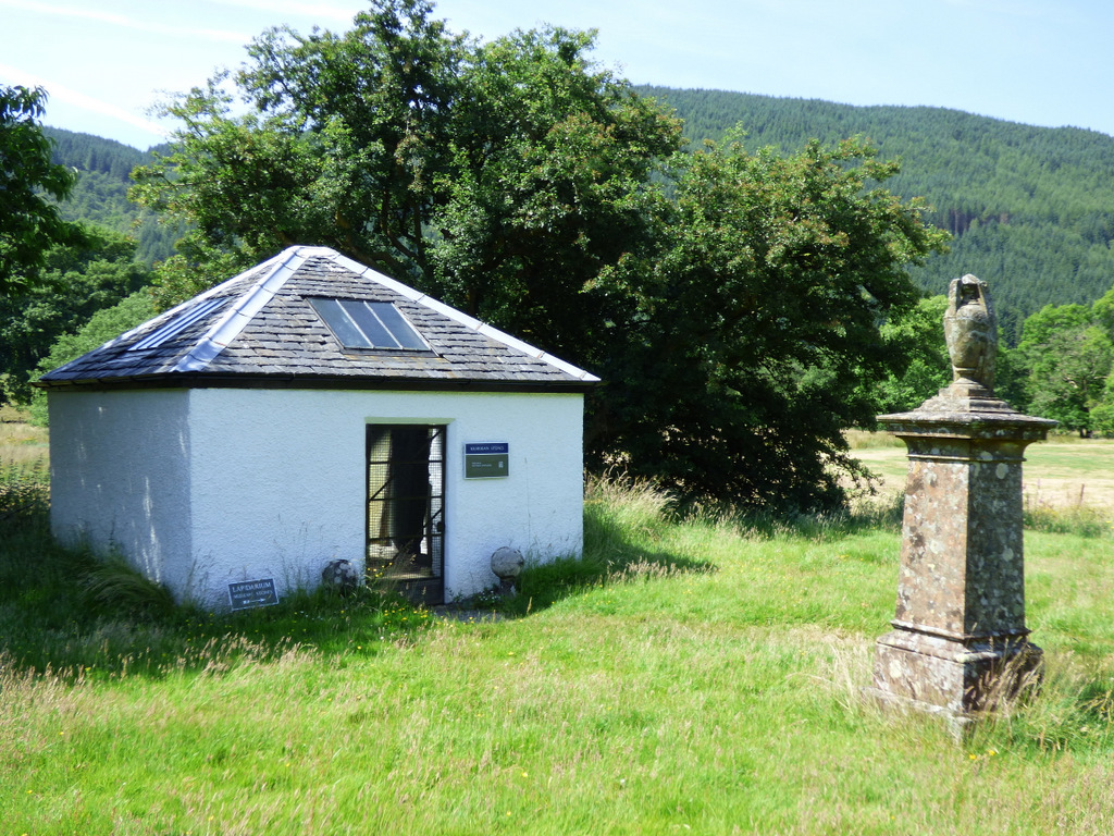 Kilmodan Carved Stones — image 3