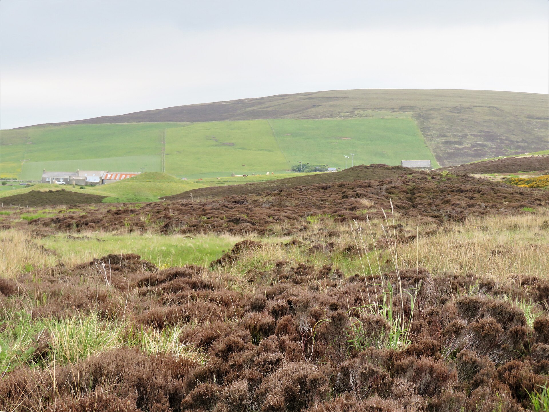 Knowes of Trotty — image 2