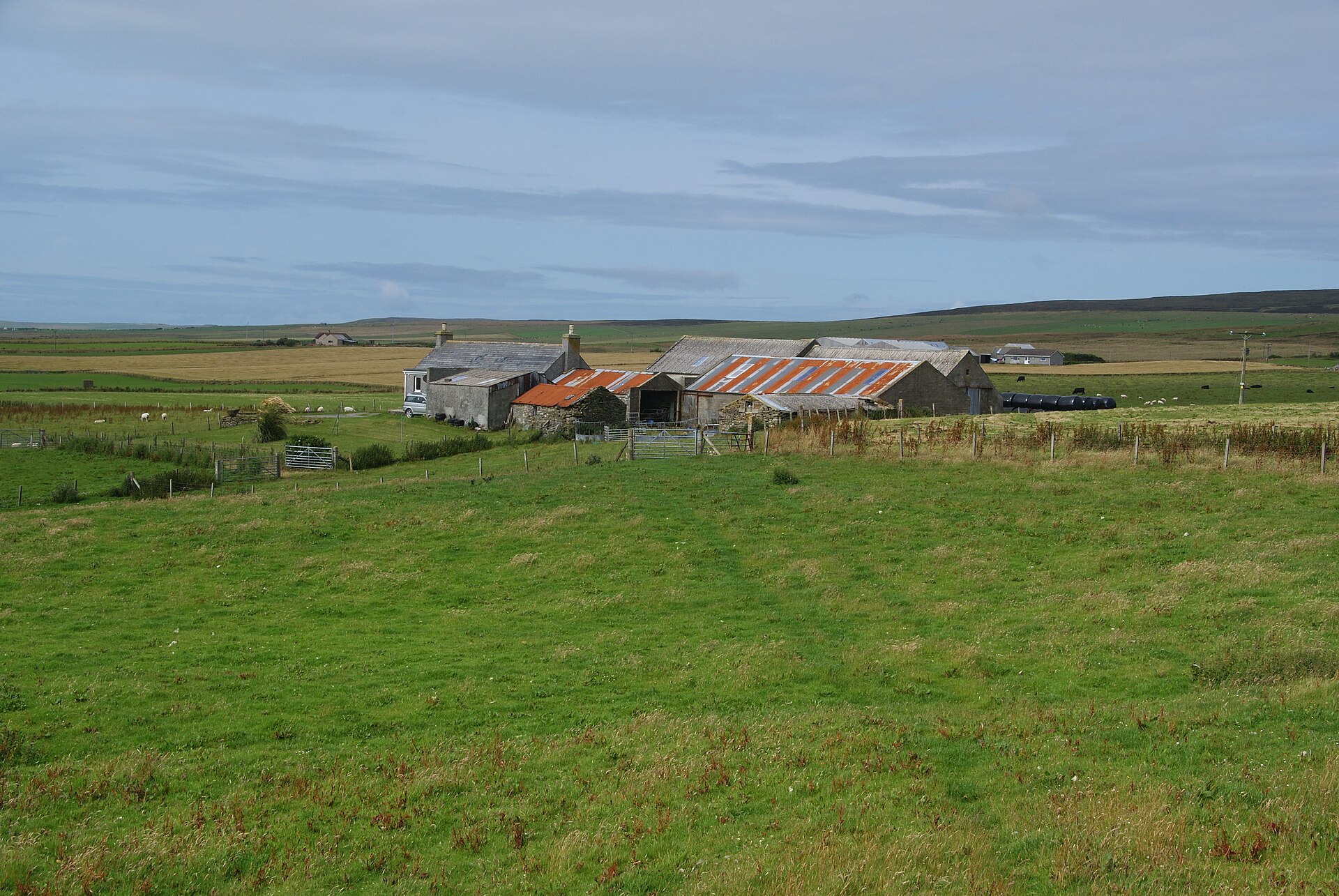 Knowes of Trotty — image 3