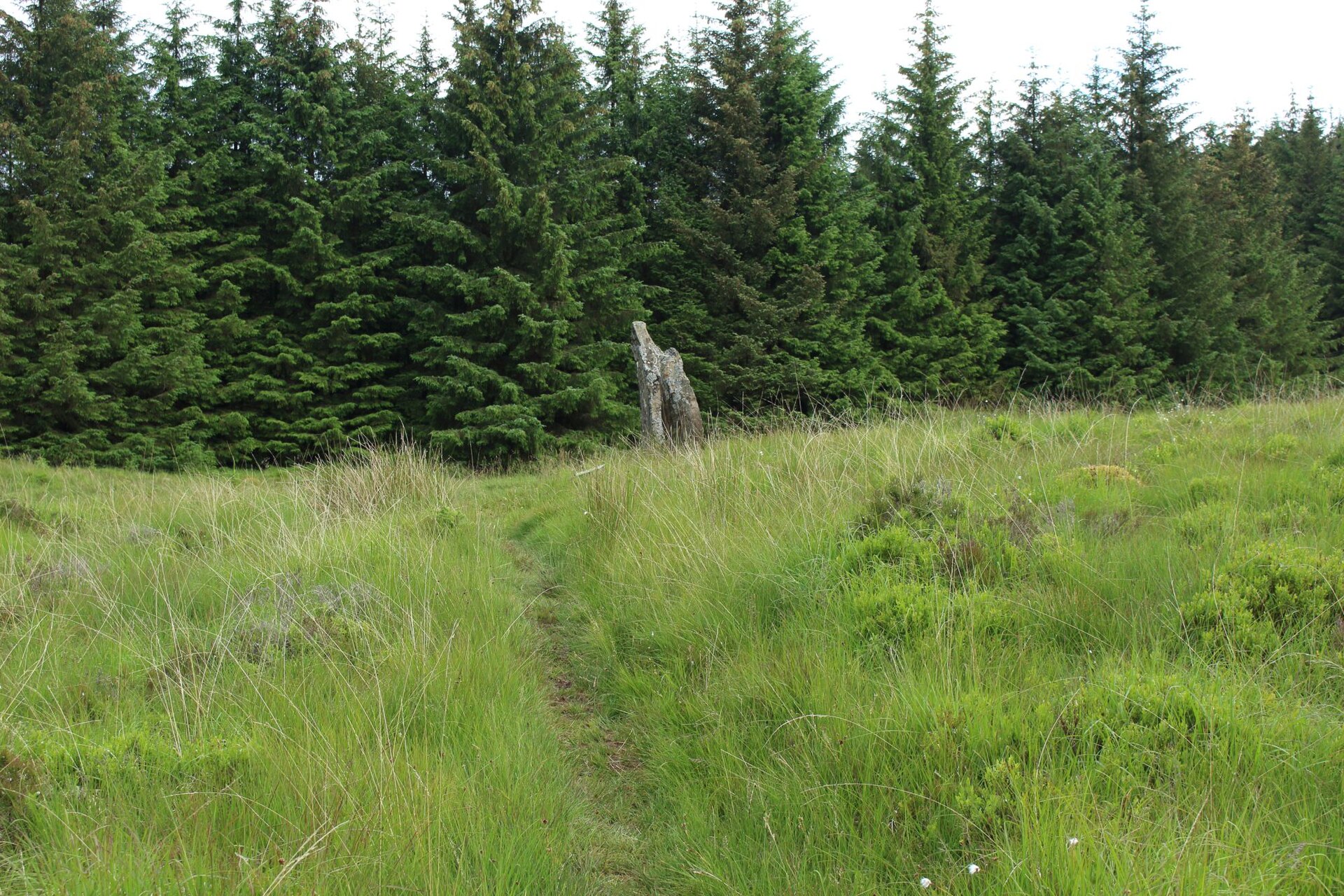 Laggangairn Standing Stones — image 2
