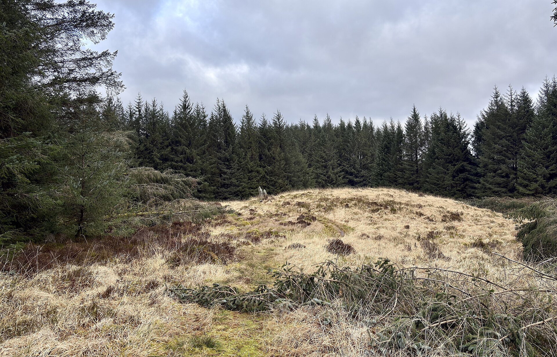 Laggangairn Standing Stones — image 3