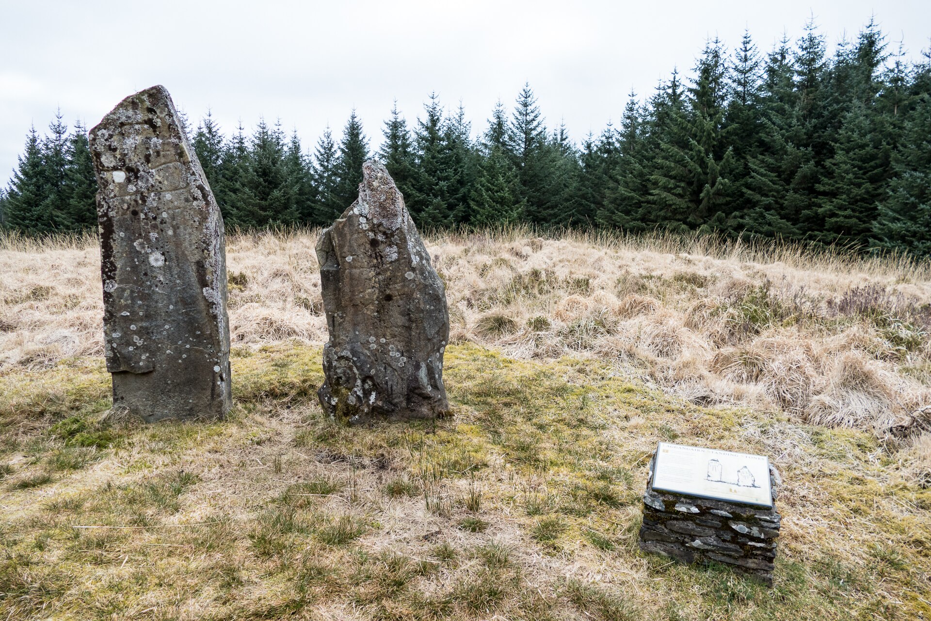 Laggangairn Standing Stones — image 4