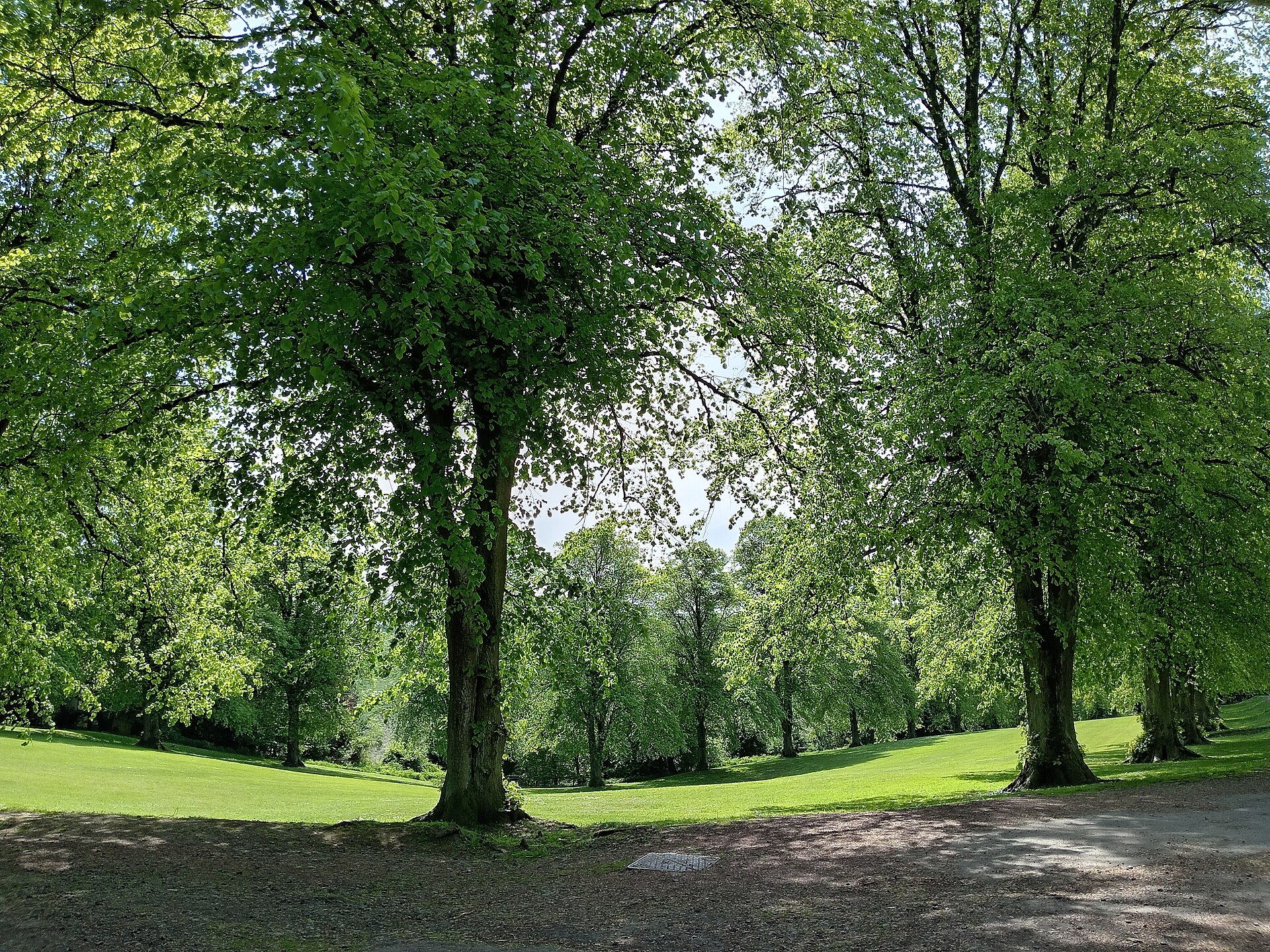 Lanark Castle — image 3
