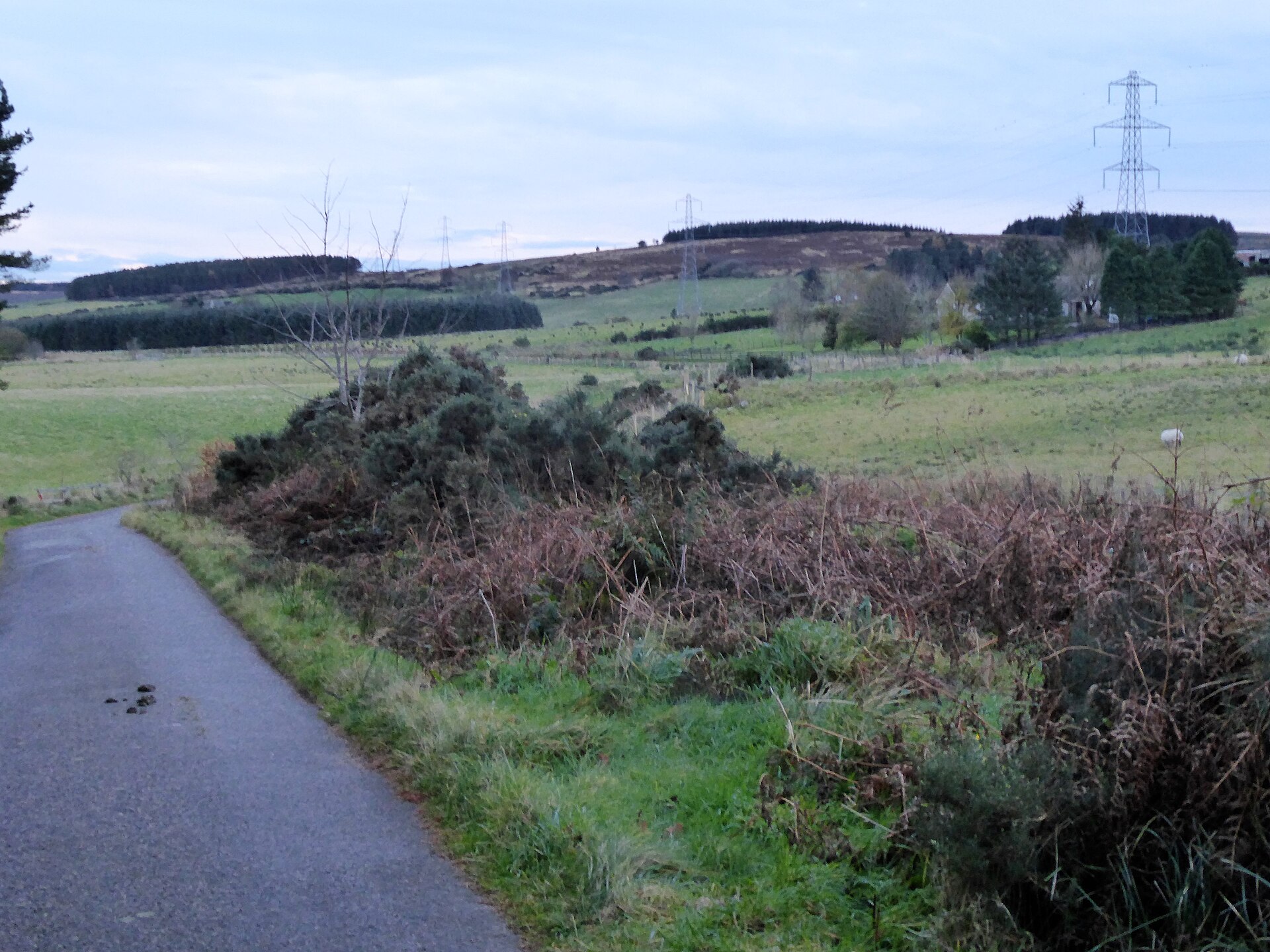 Lang Stane of Auquhollie — image 2