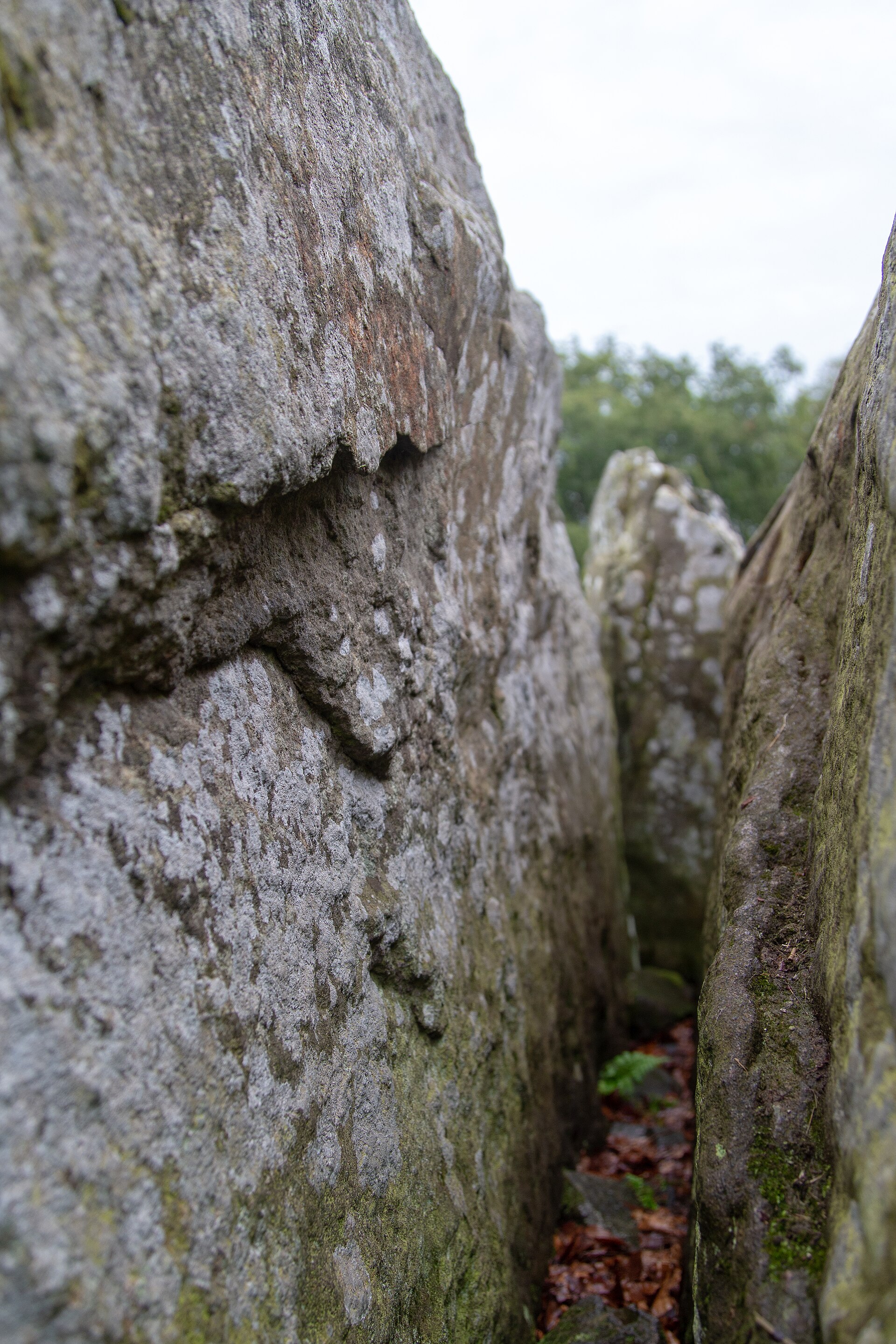 Loanhead of Daviot Stone Circle — image 2