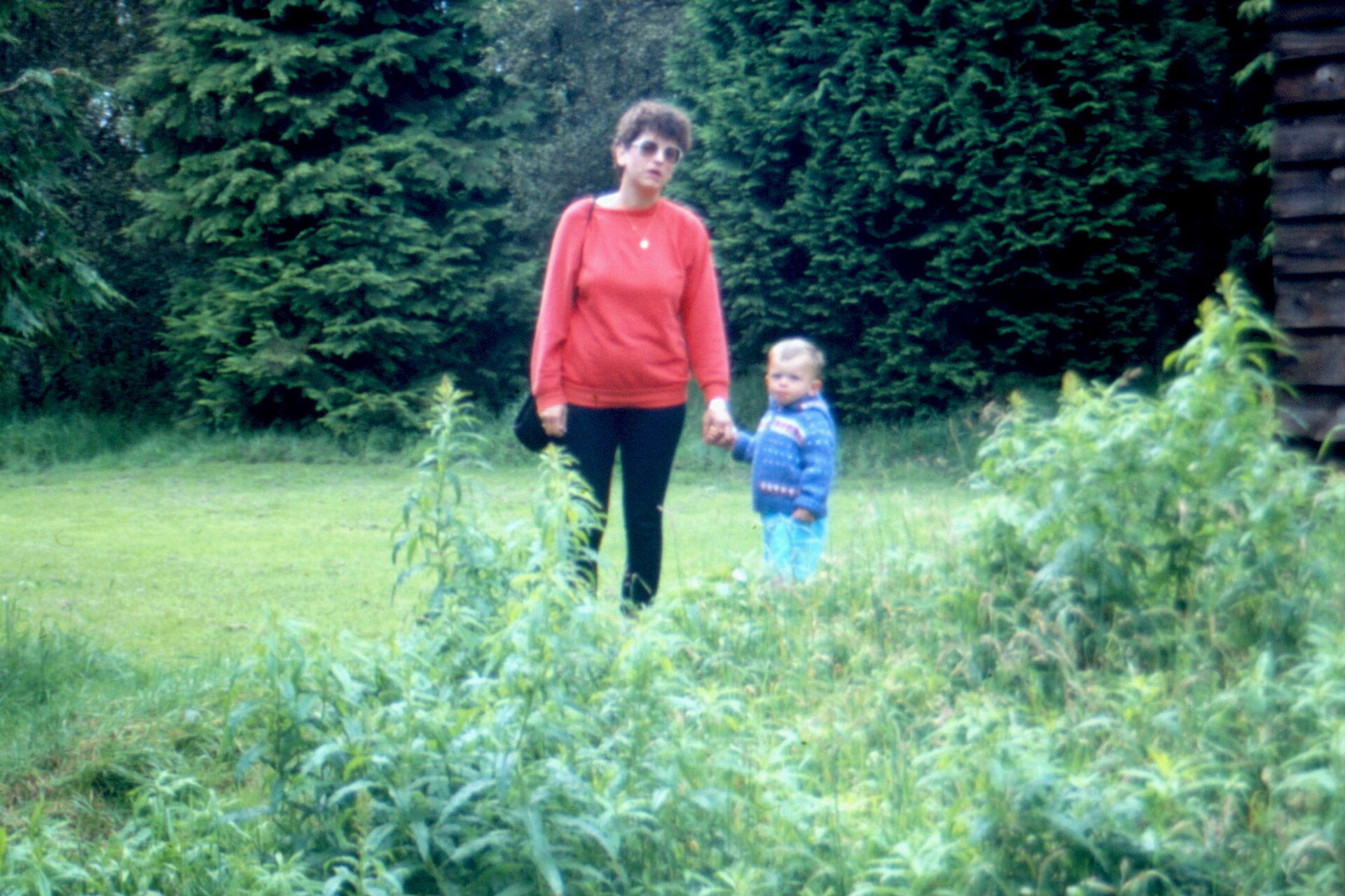 Loanhead of Daviot Stone Circle — image 4