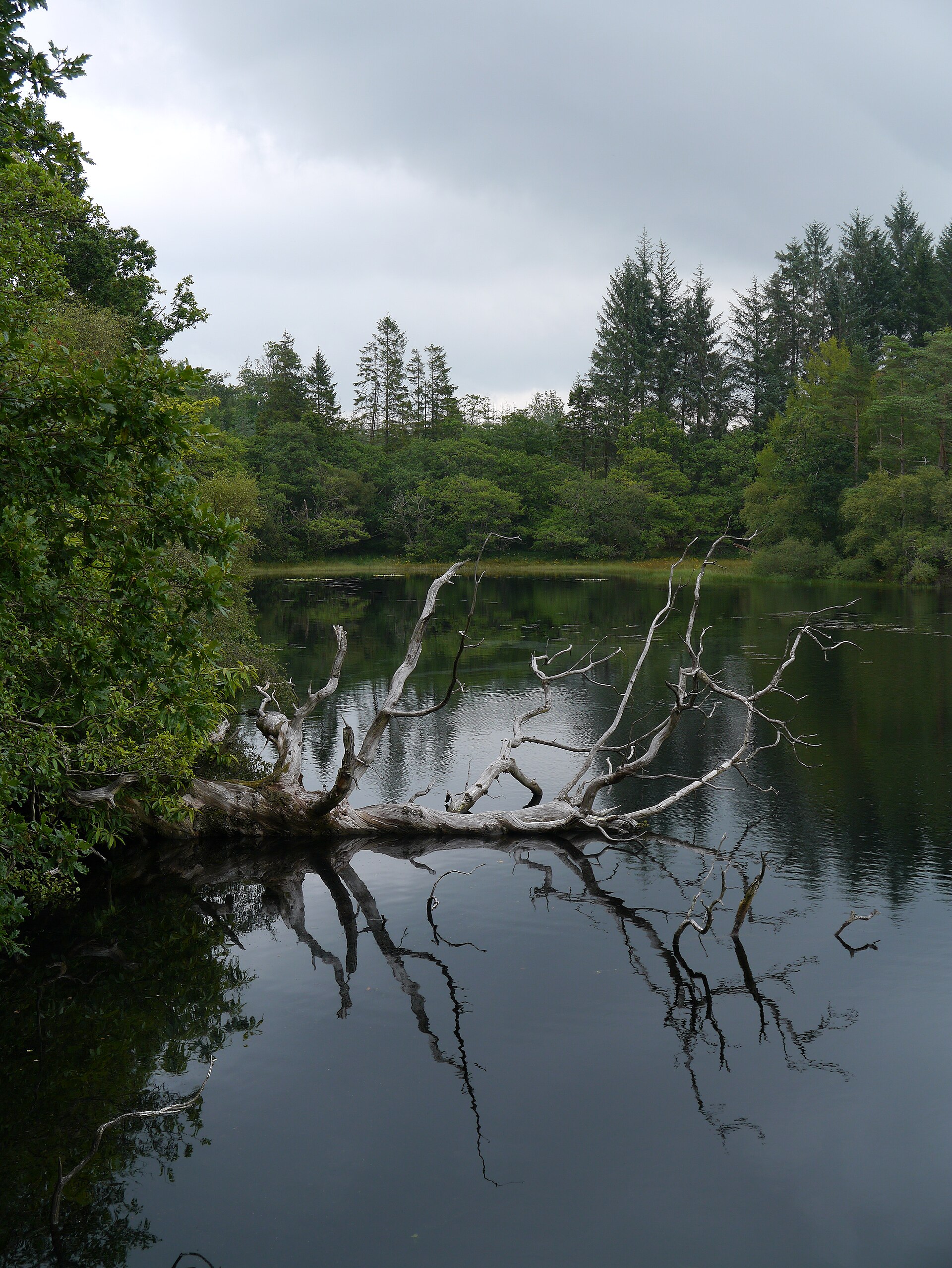 Loch a' Bharain — image 2