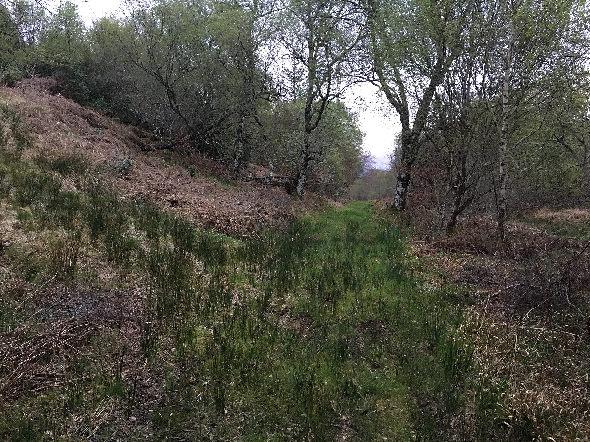 Lochnell Castle — image 2