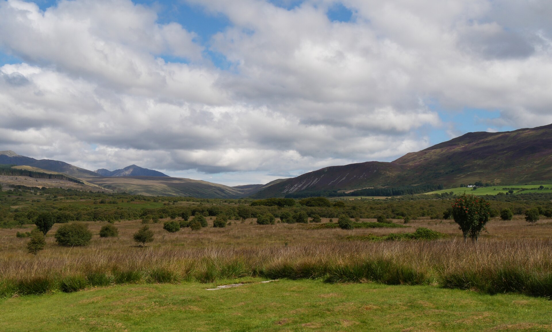 Machrie Moor Stone Circles — image 2